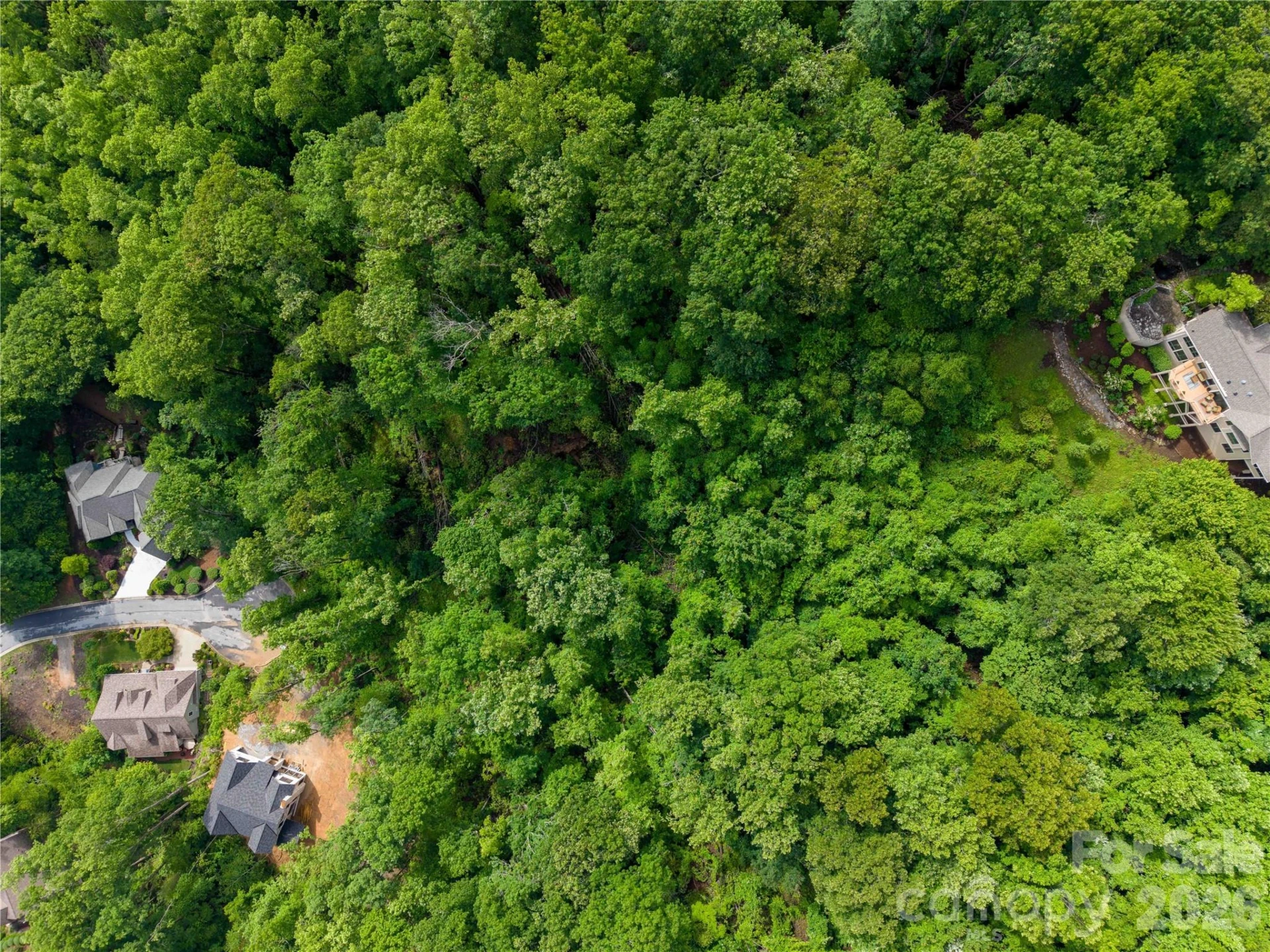 334 Carriage Crest Drive - Photo 11