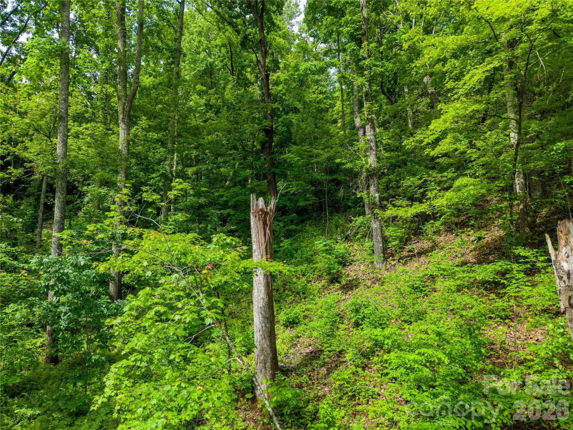 334 Carriage Crest Drive - Photo 14