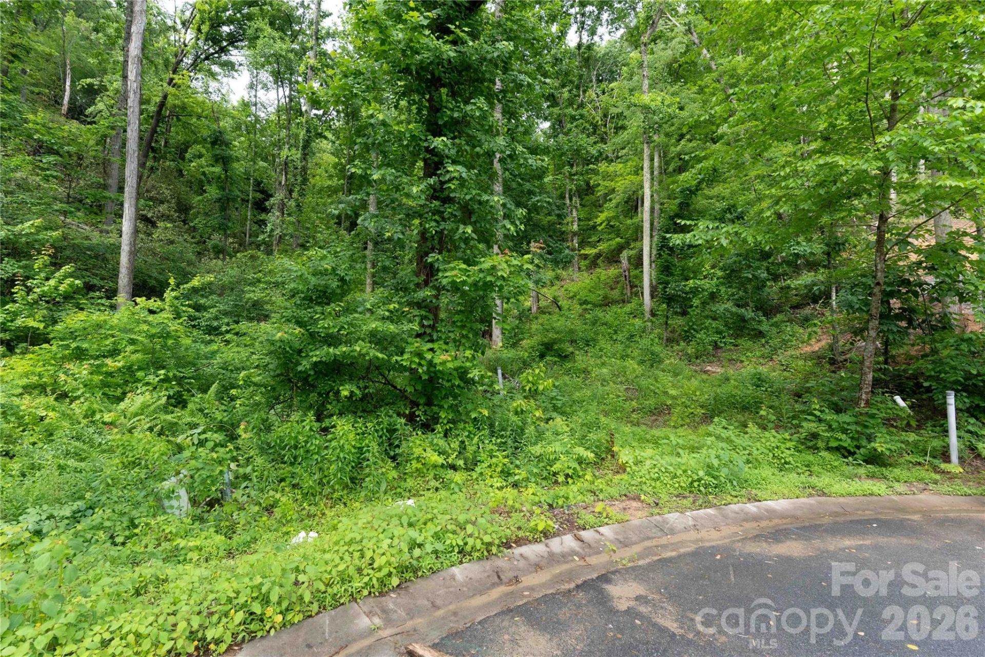 334 Carriage Crest Drive - Photo 3
