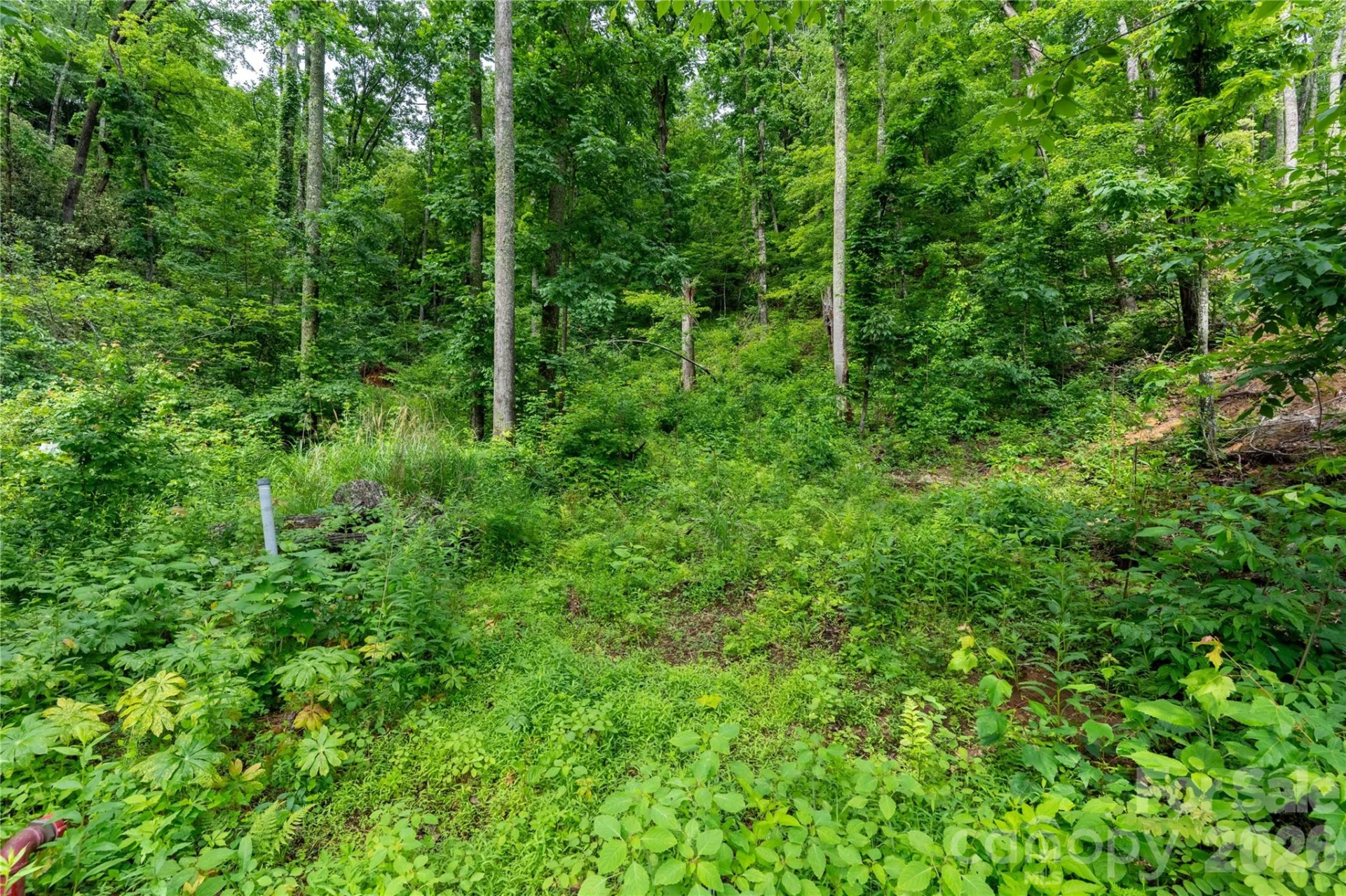 334 Carriage Crest Drive - Photo 4
