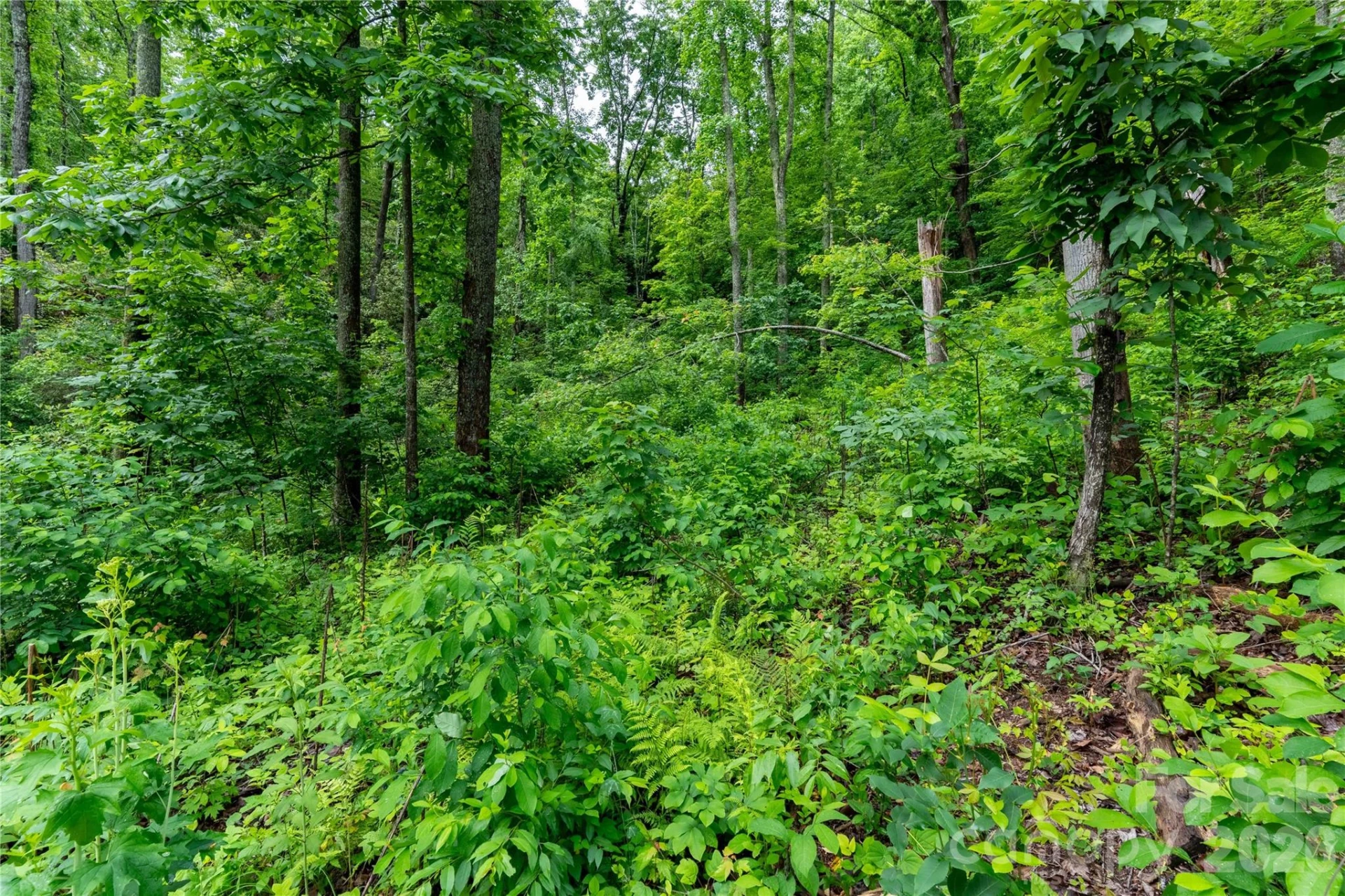334 Carriage Crest Drive - Photo 5