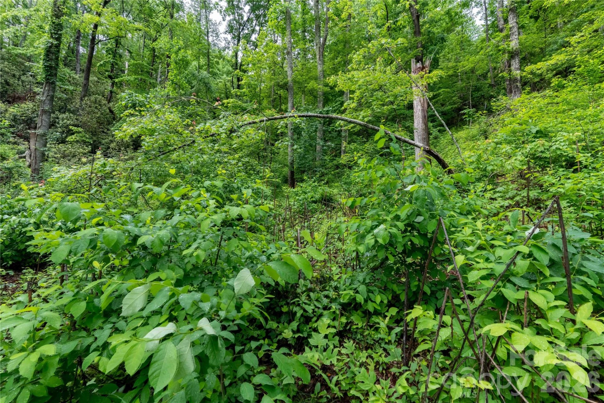 334 Carriage Crest Drive - Photo 7