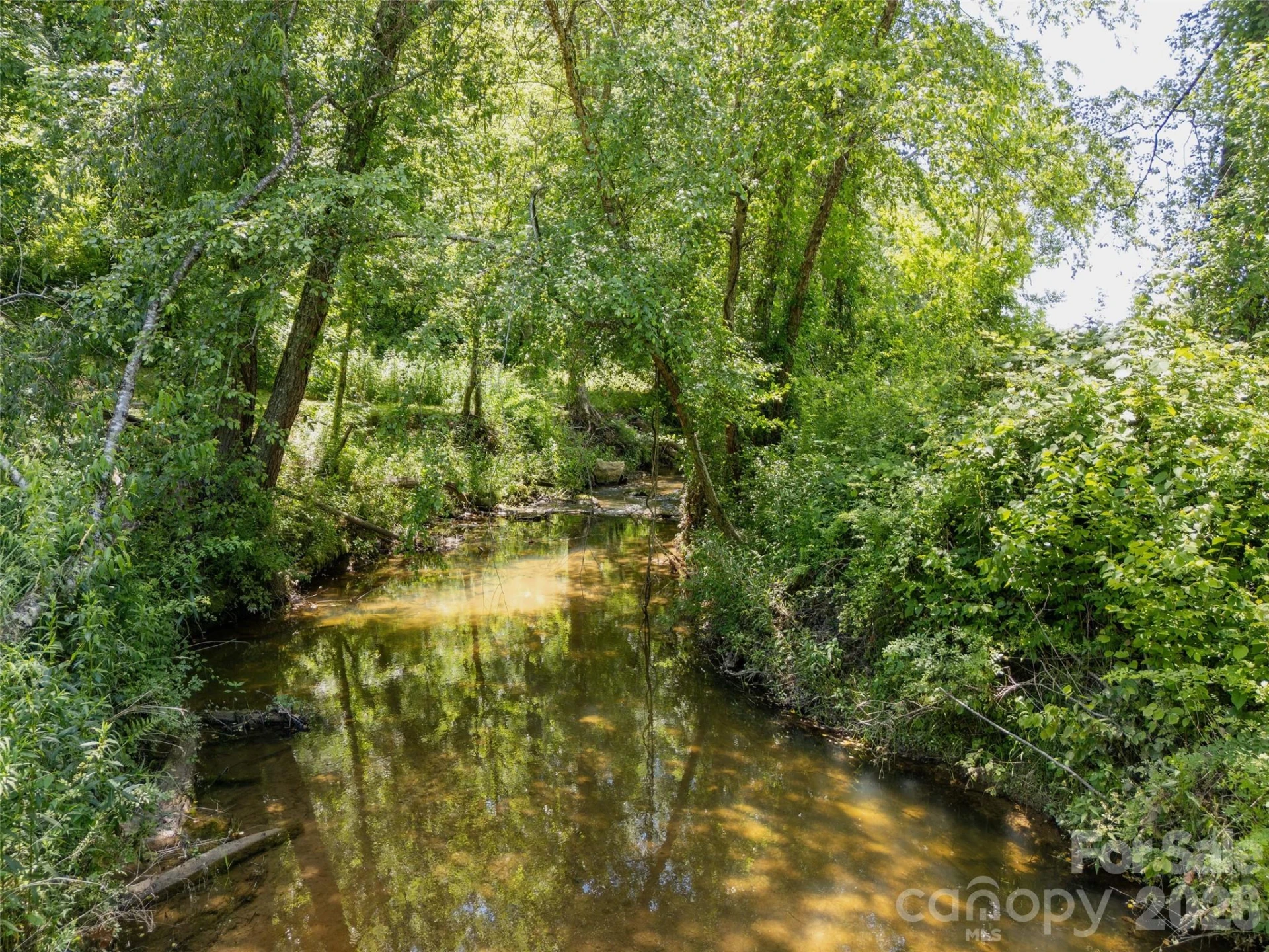 167 Tatham Road - Photo 46