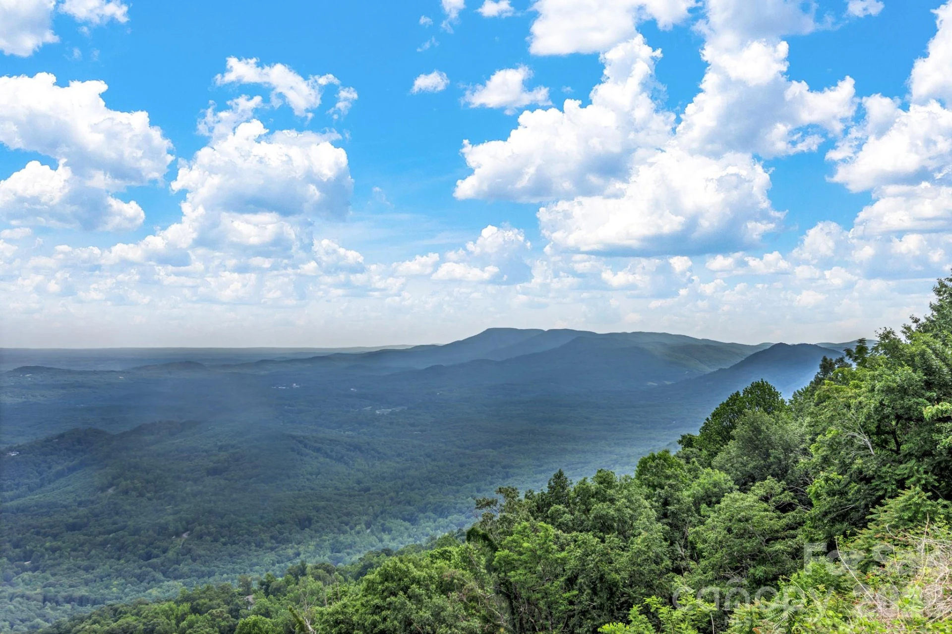 2881 White Oak Mountain Road #B-11 - Photo 15