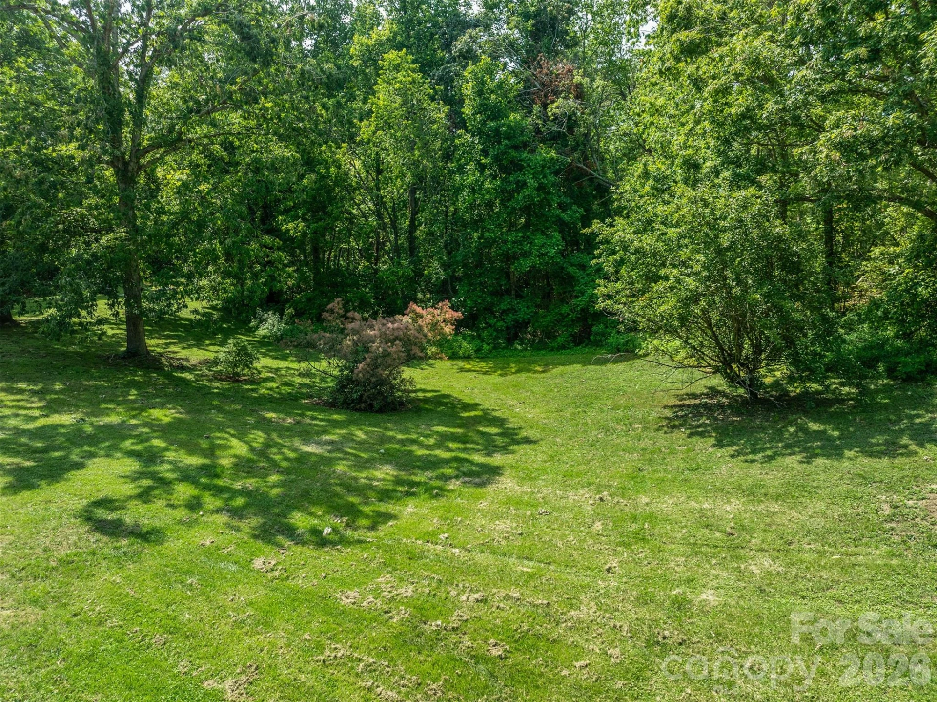 18 Luckenbach Drive - Photo 4