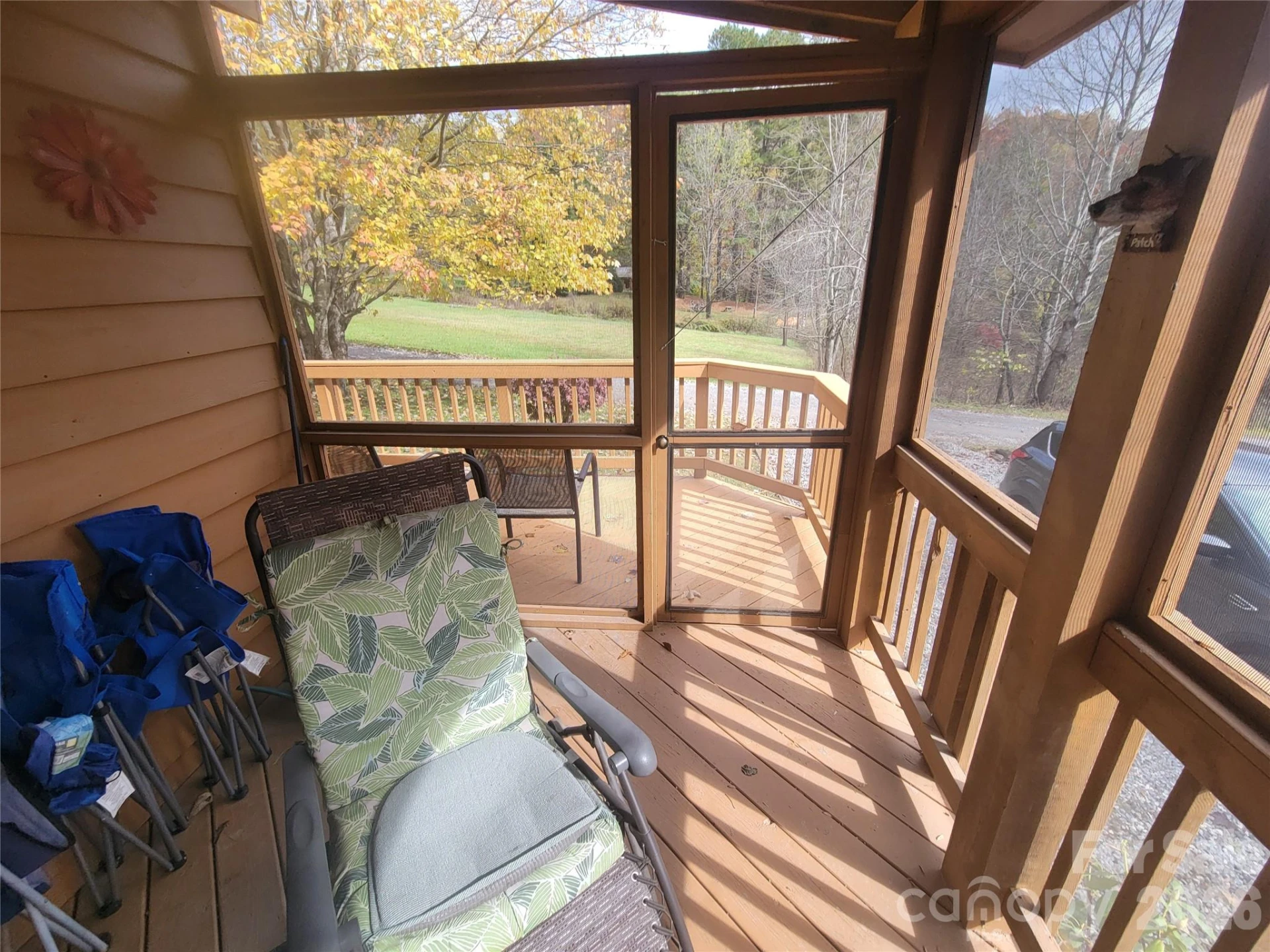 131 Dahlia Lane - Photo 16