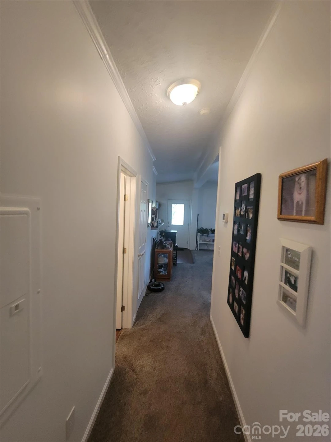 131 Dahlia Lane - Photo 25