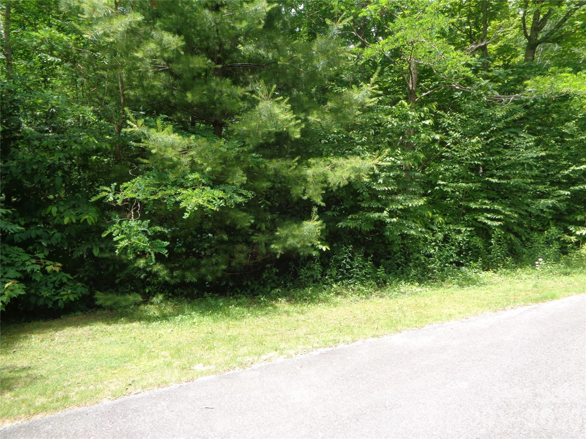 Lot 6 Peaks Creek Trail - Photo 11