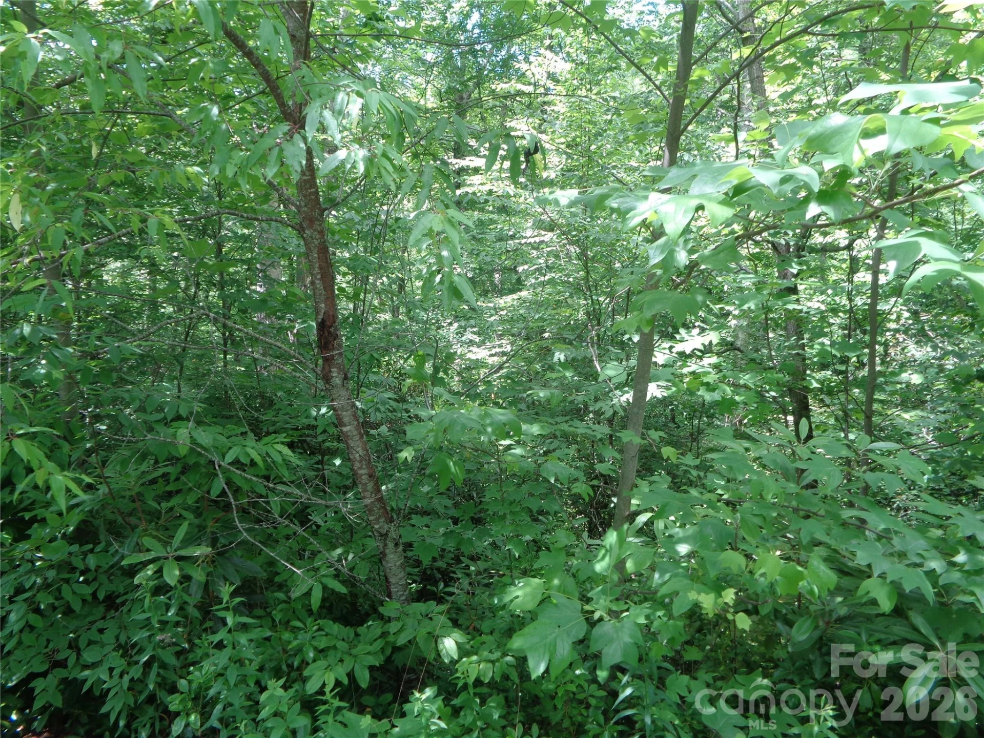 Lot 6 Peaks Creek Trail - Photo 5