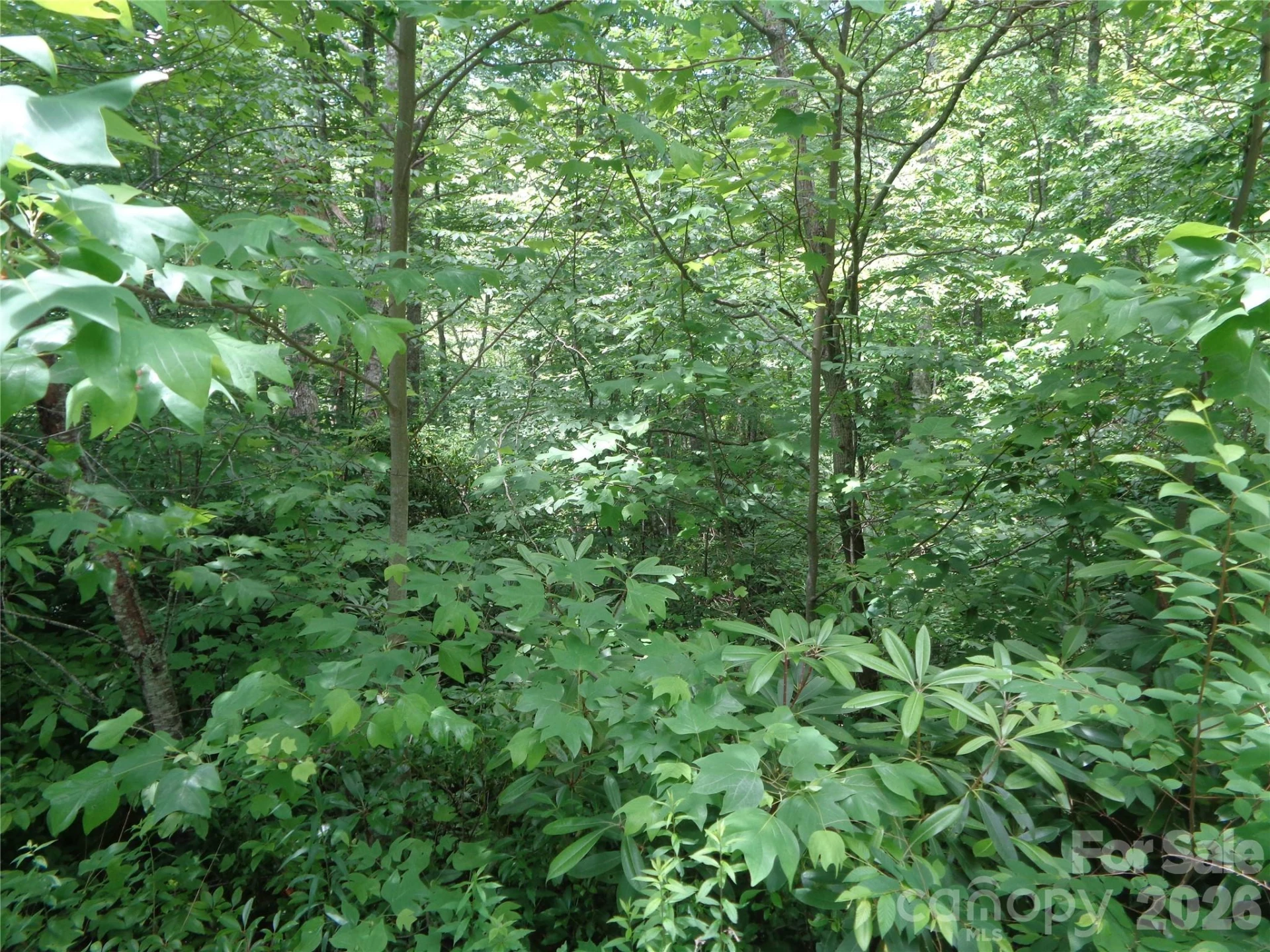 Lot 6 Peaks Creek Trail - Photo 6