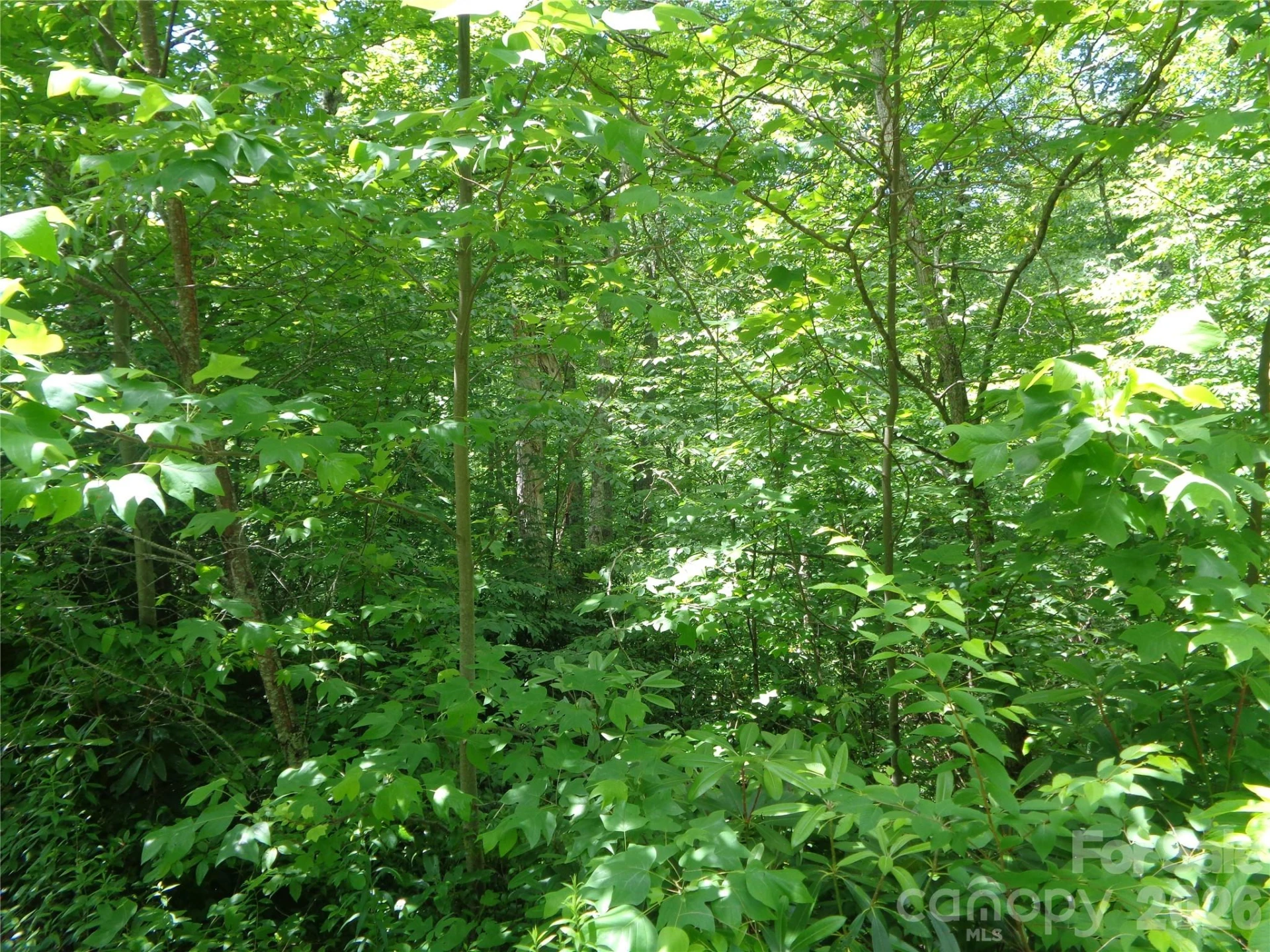 Lot 6 Peaks Creek Trail - Photo 7