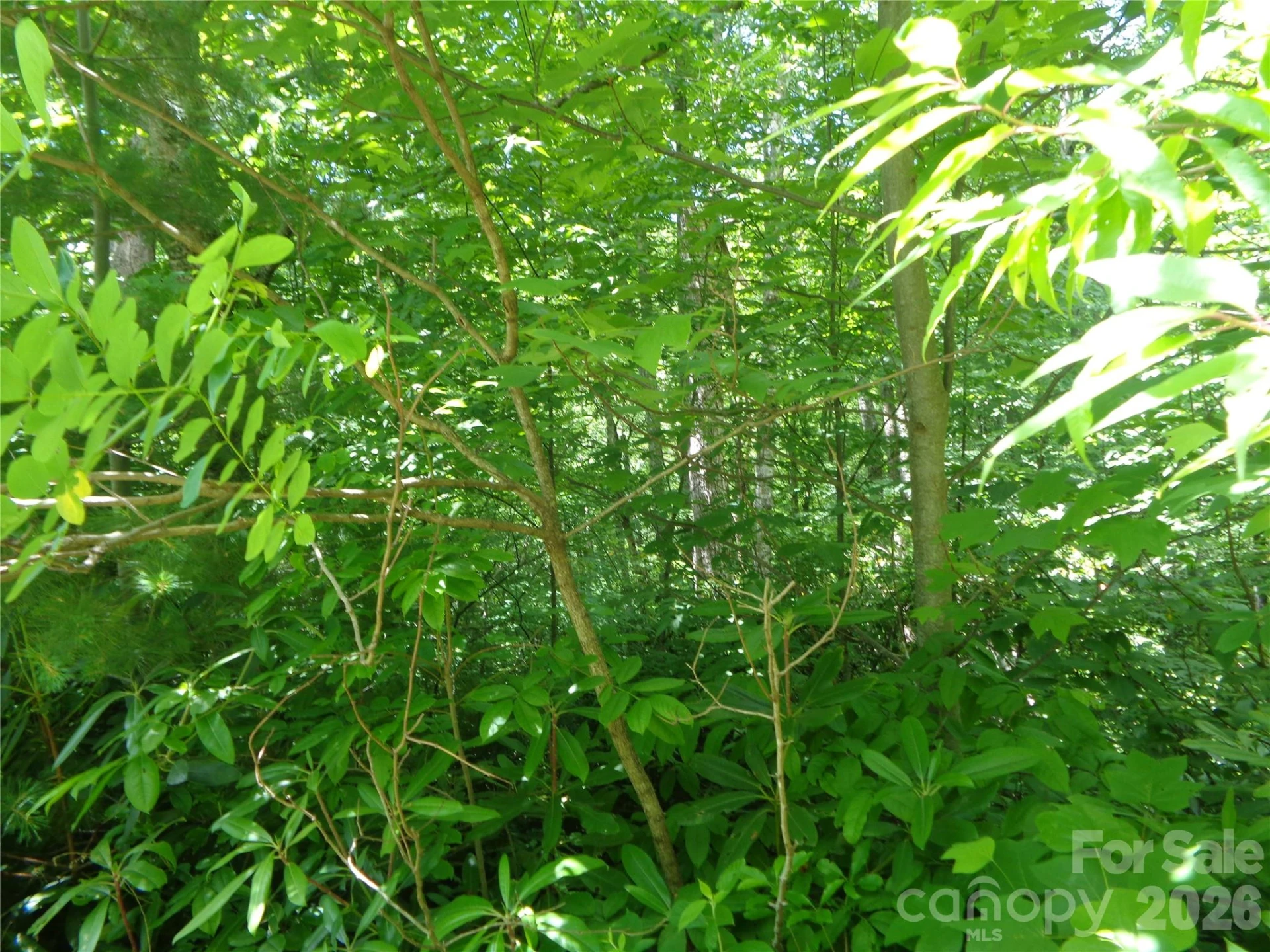 Lot 6 Peaks Creek Trail - Photo 8