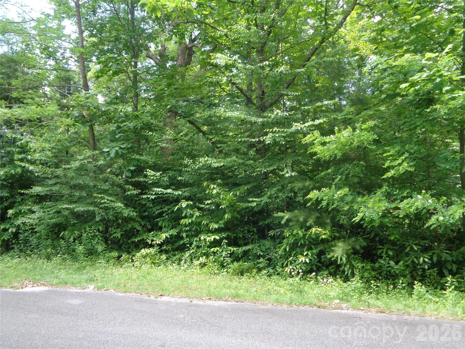 Lot 6 Peaks Creek Trail - Photo 9