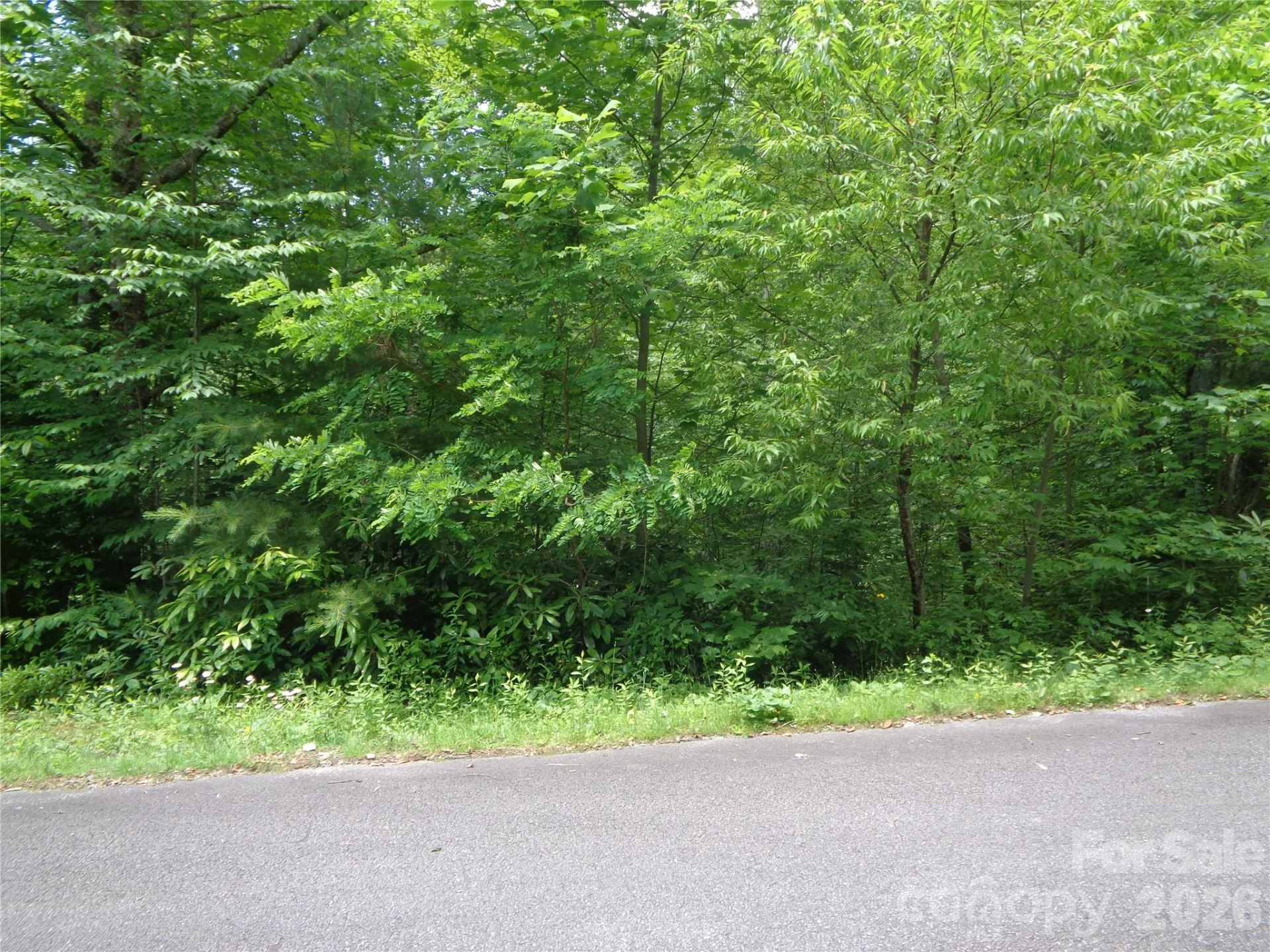 Lot 6 Peaks Creek Trail - Photo 10
