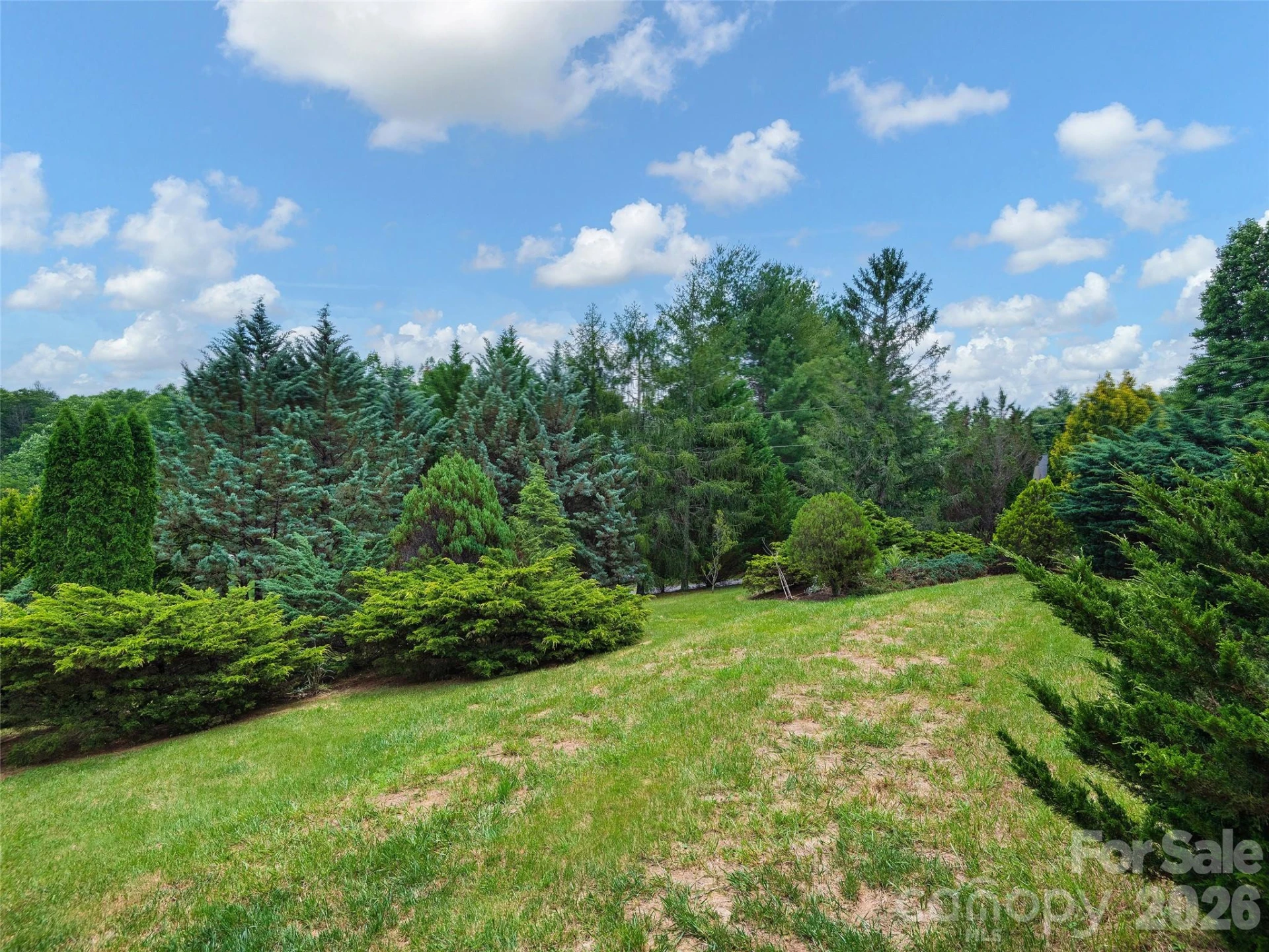 7 Hope Lane - Photo 32