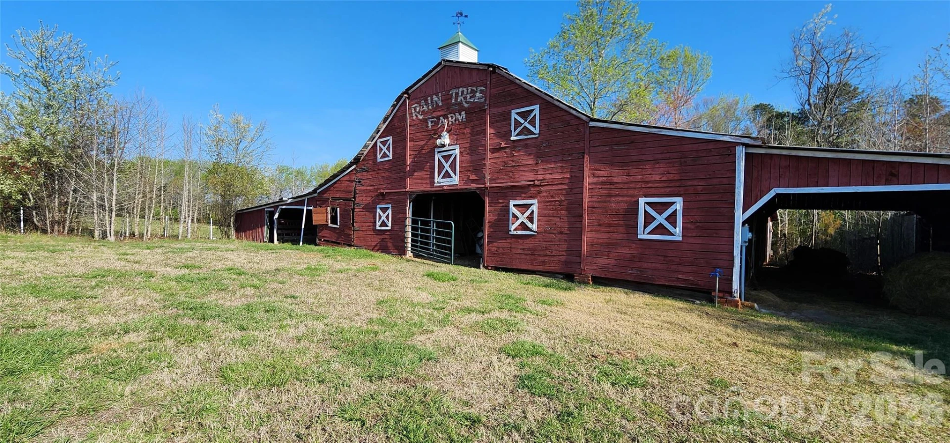 Lot 8 Ted Smith Road #8 - Photo 5
