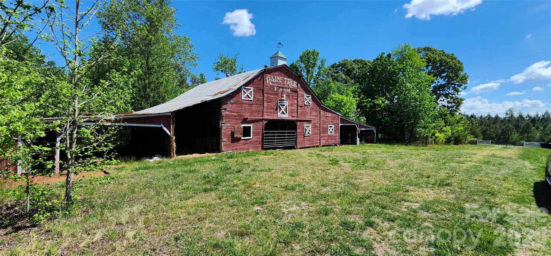 Lot 8 Ted Smith Road #8 - Photo 6