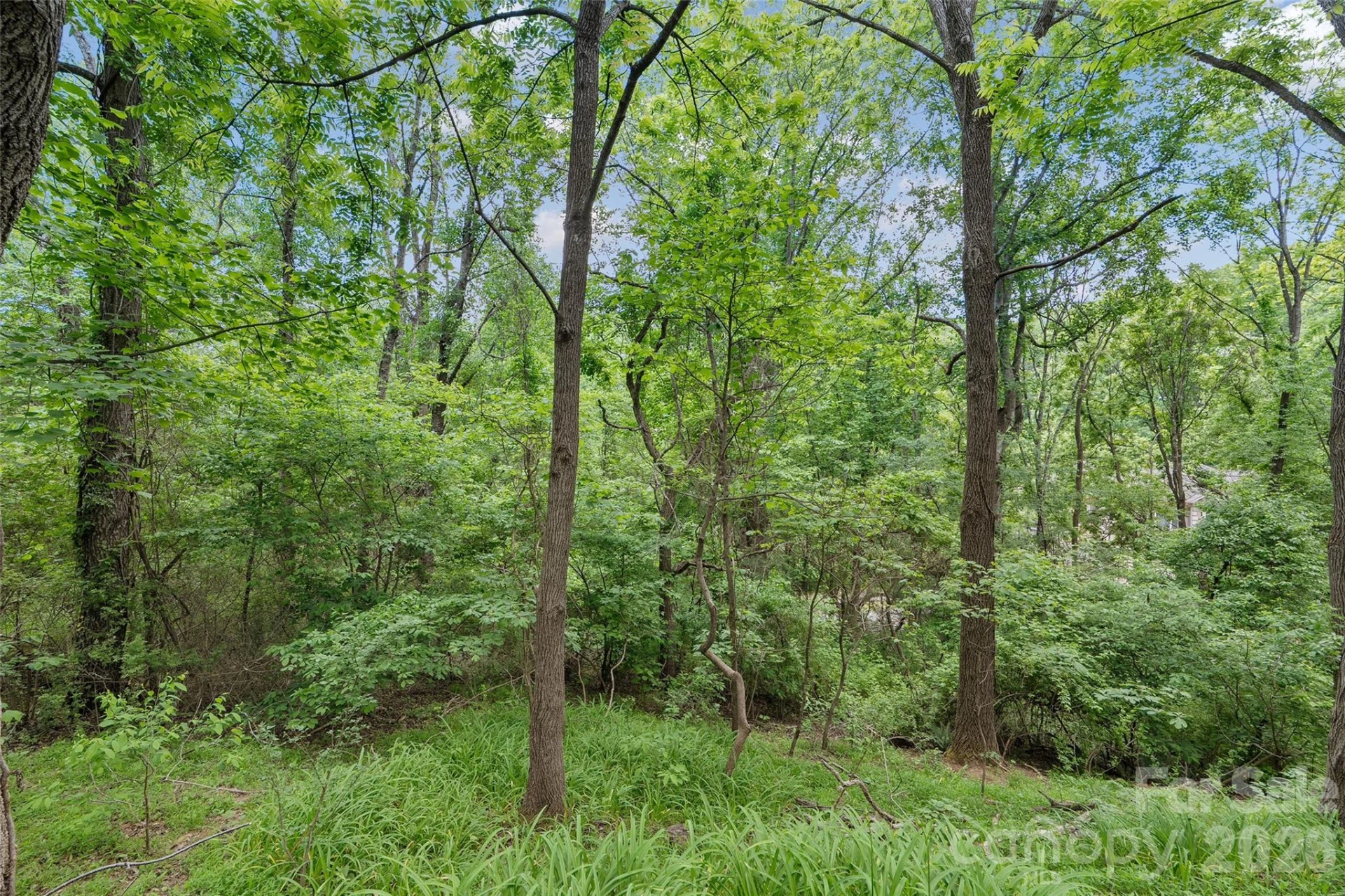 00000 Timberwood Drive - Photo 4