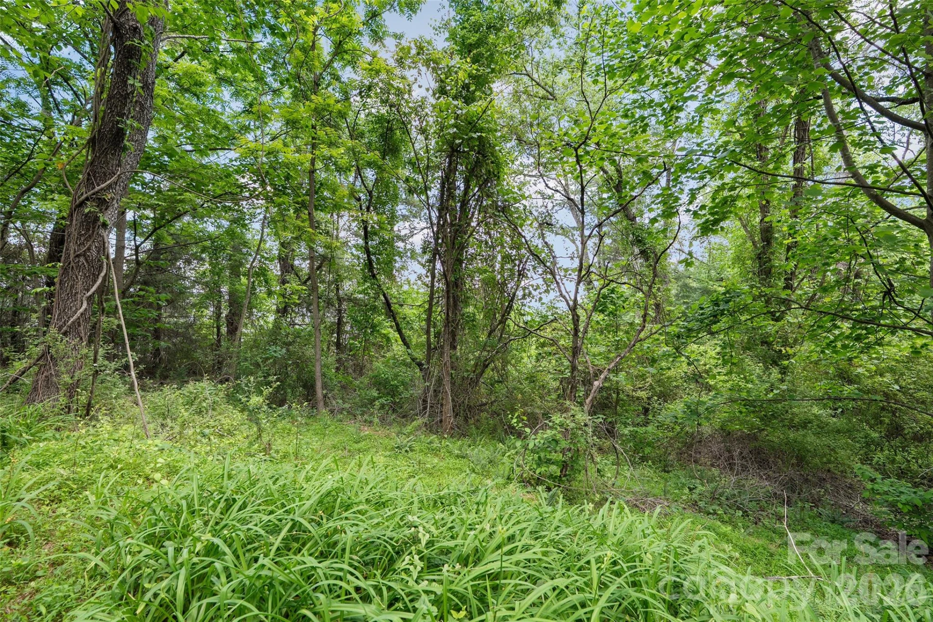00000 Timberwood Drive - Photo 5