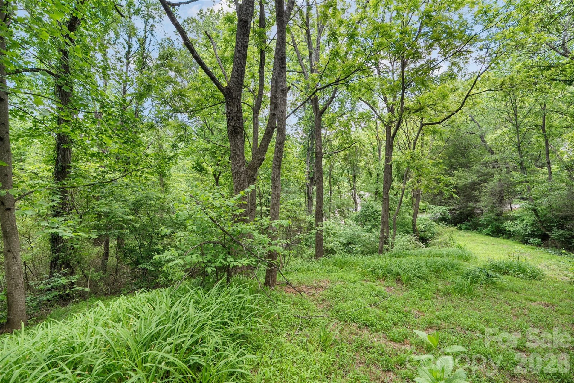 00000 Timberwood Drive - Photo 6