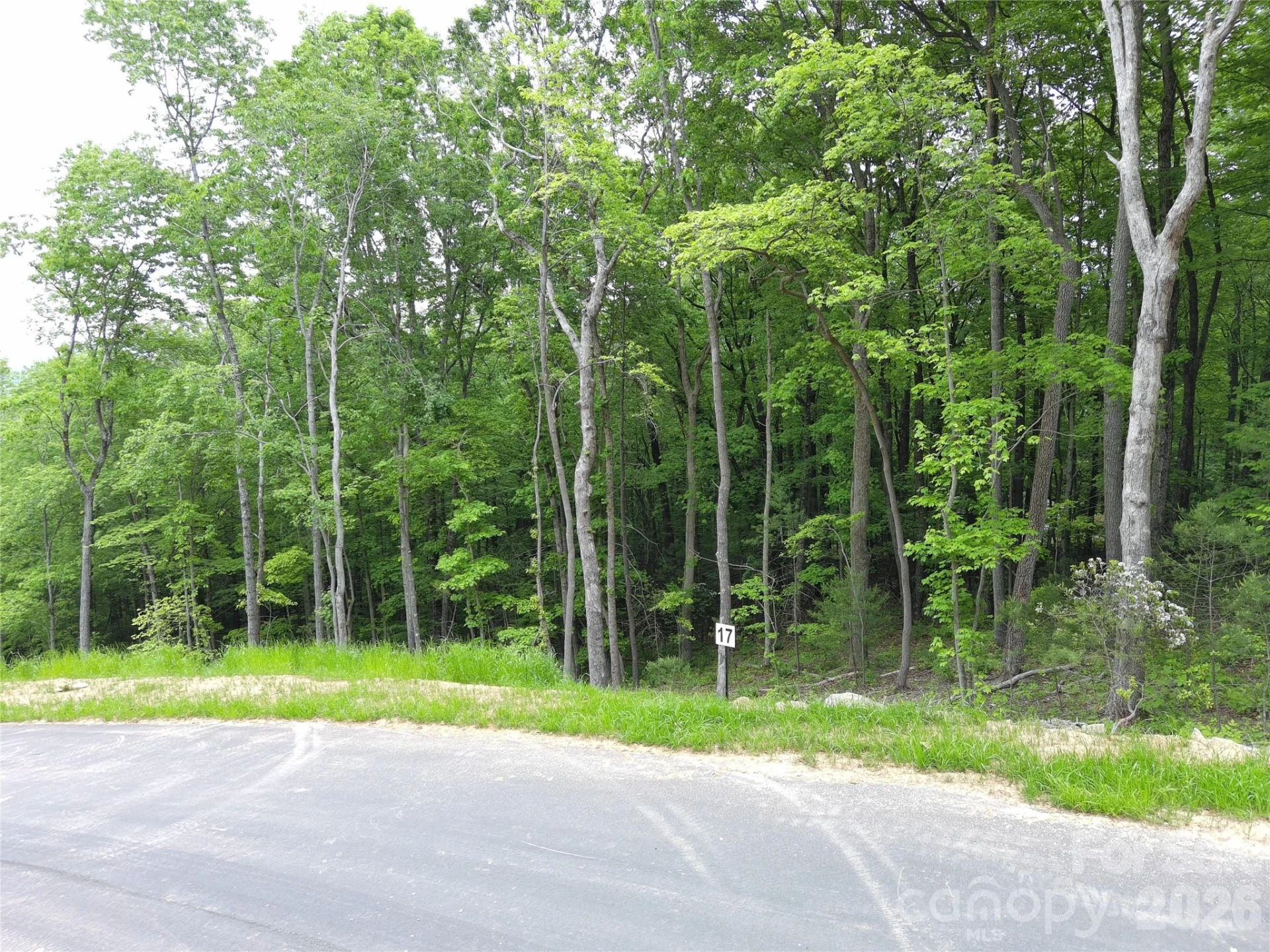 Lot 17 Northview Drive - Photo 3