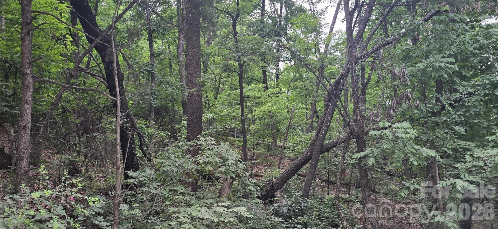 0 Pinnacle Parkway #6 - Photo 12