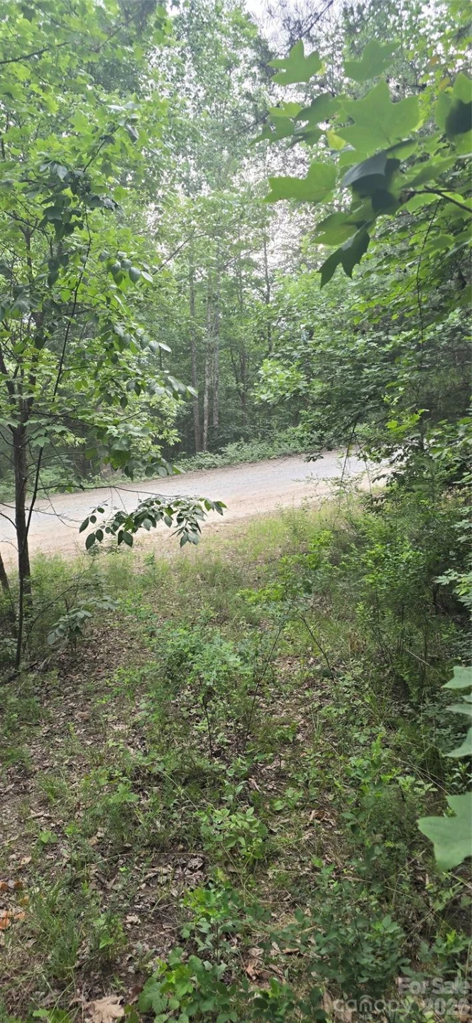 0 Pinnacle Parkway #6 - Photo 3