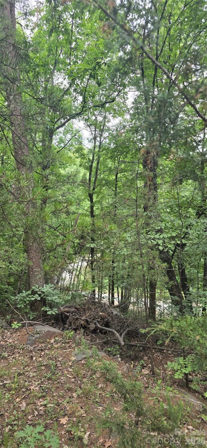 0 Pinnacle Parkway #6 - Photo 7