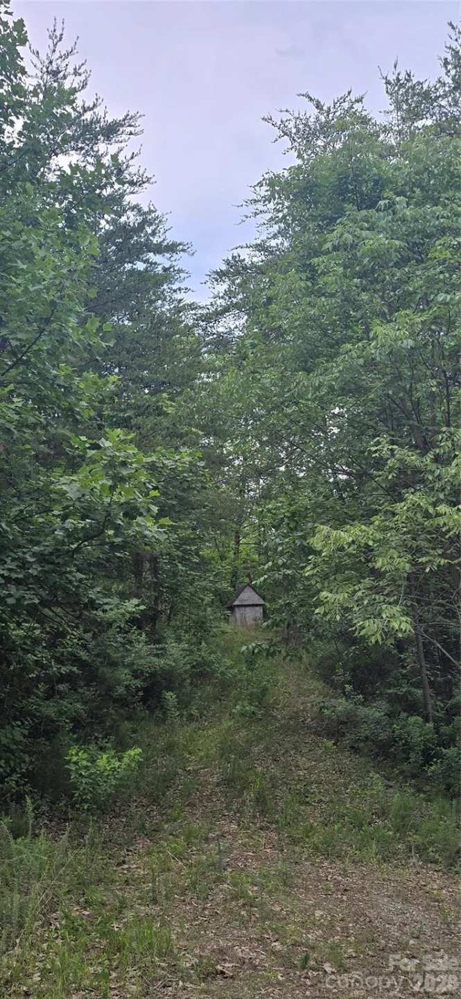 0 Pinnacle Parkway #6 - Photo 10