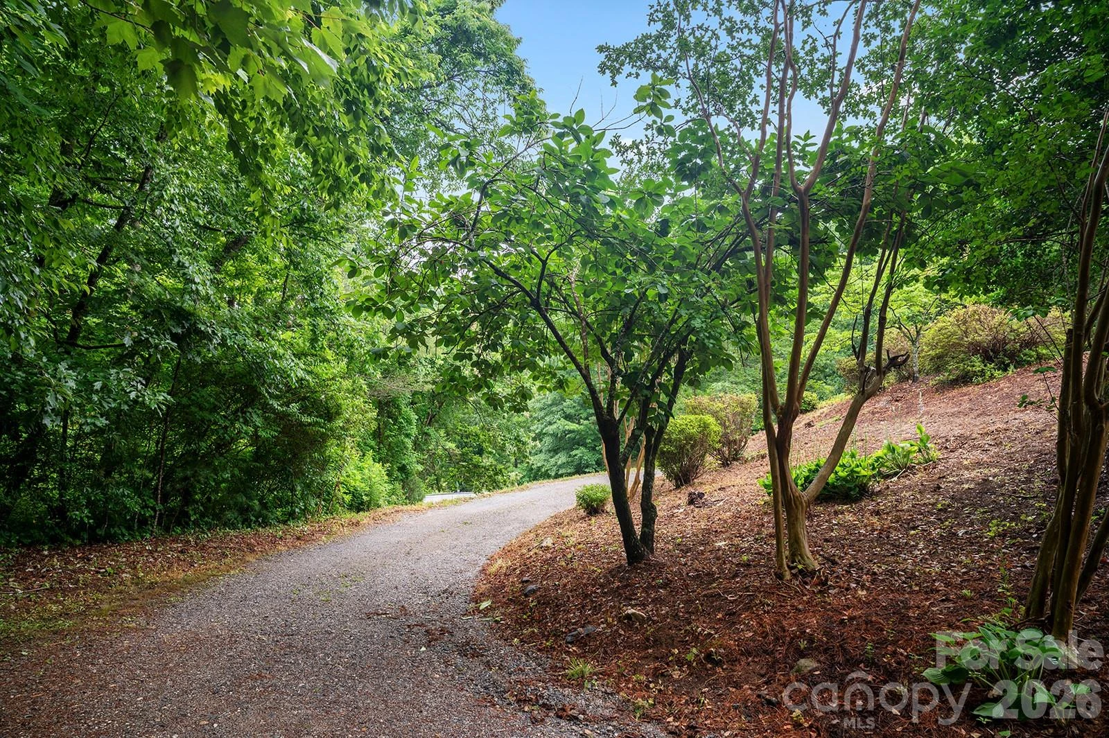 825 Gallimore Road - Photo 13