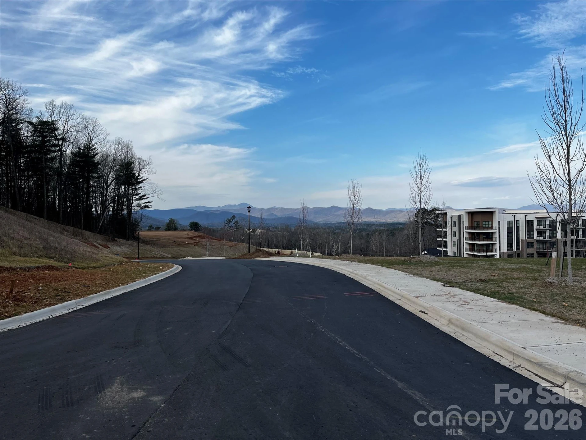 105 Woodland Meadows Drive #Tract A & B - Photo 2