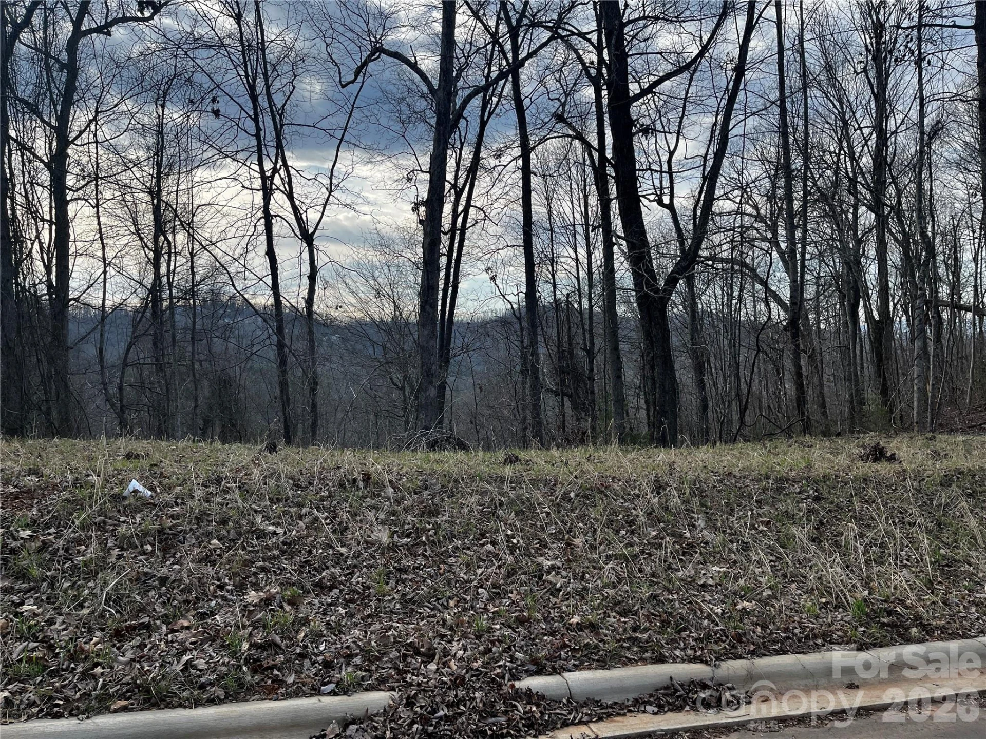 105 Woodland Meadows Drive #Tract A & B - Photo 11
