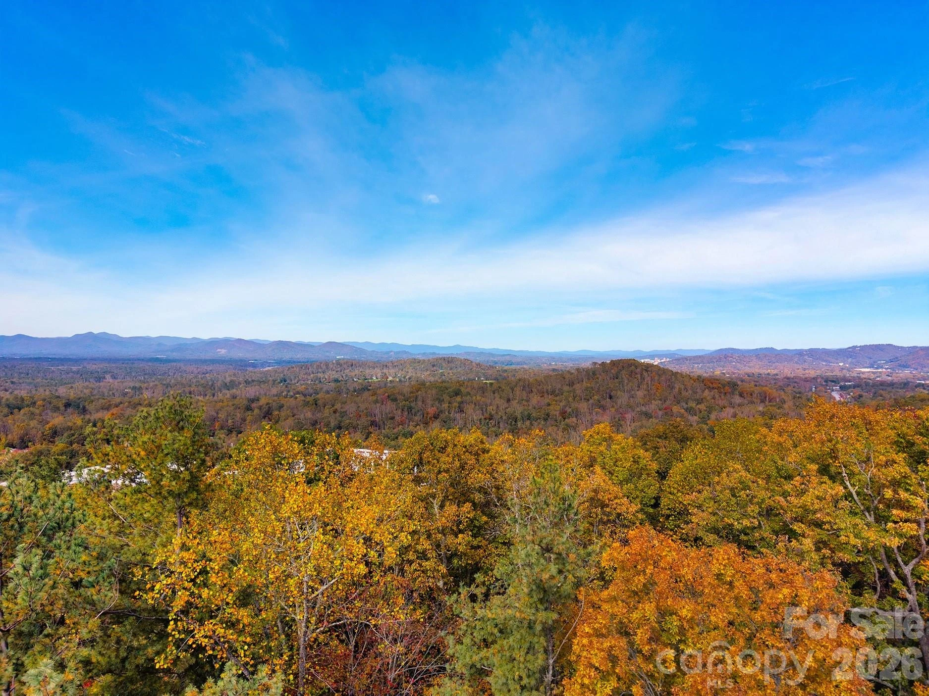 105 Woodland Meadows Drive #Tract A & B - Photo 13