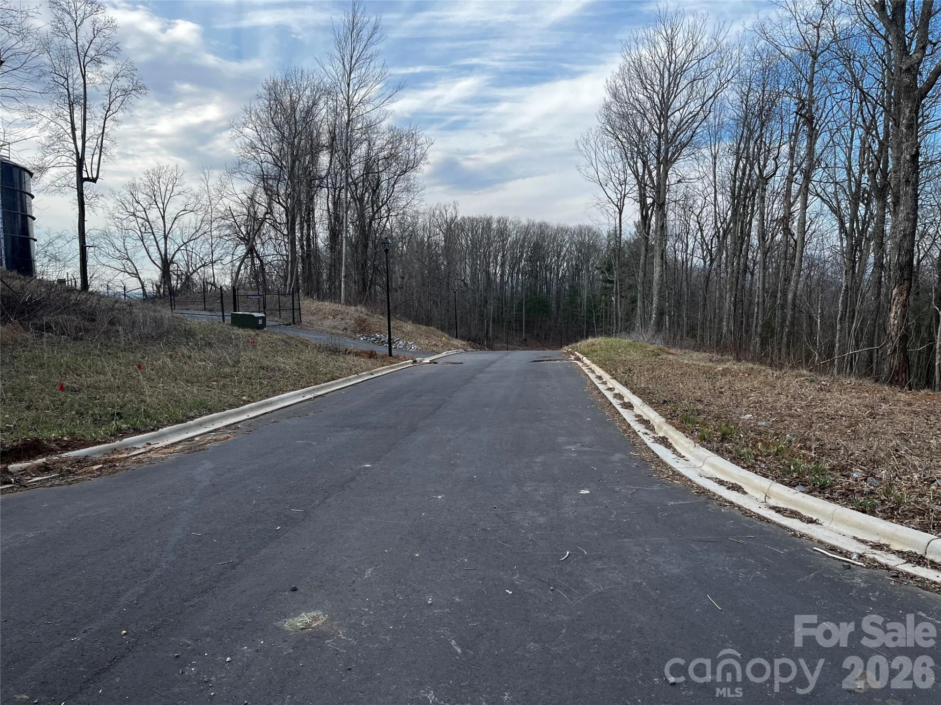 105 Woodland Meadows Drive #Tract A & B - Photo 3