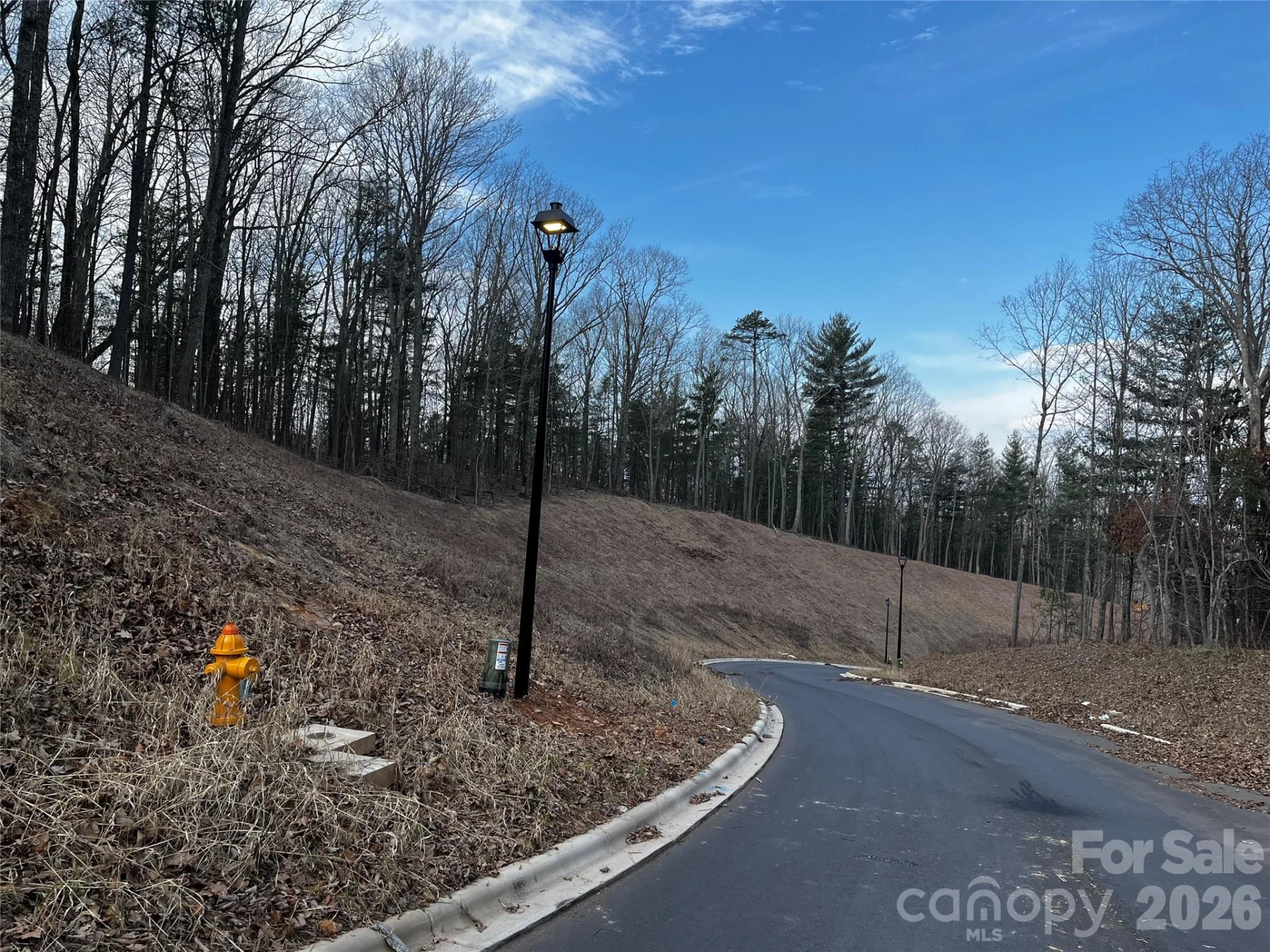 105 Woodland Meadows Drive #Tract A & B - Photo 4