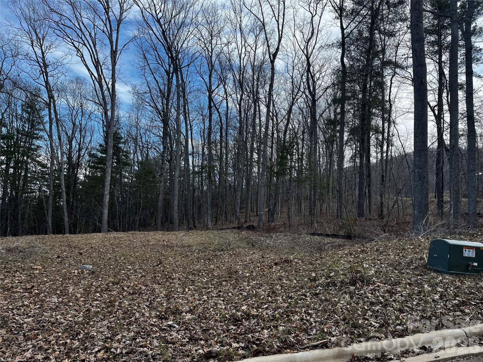 105 Woodland Meadows Drive #Tract A & B - Photo 5