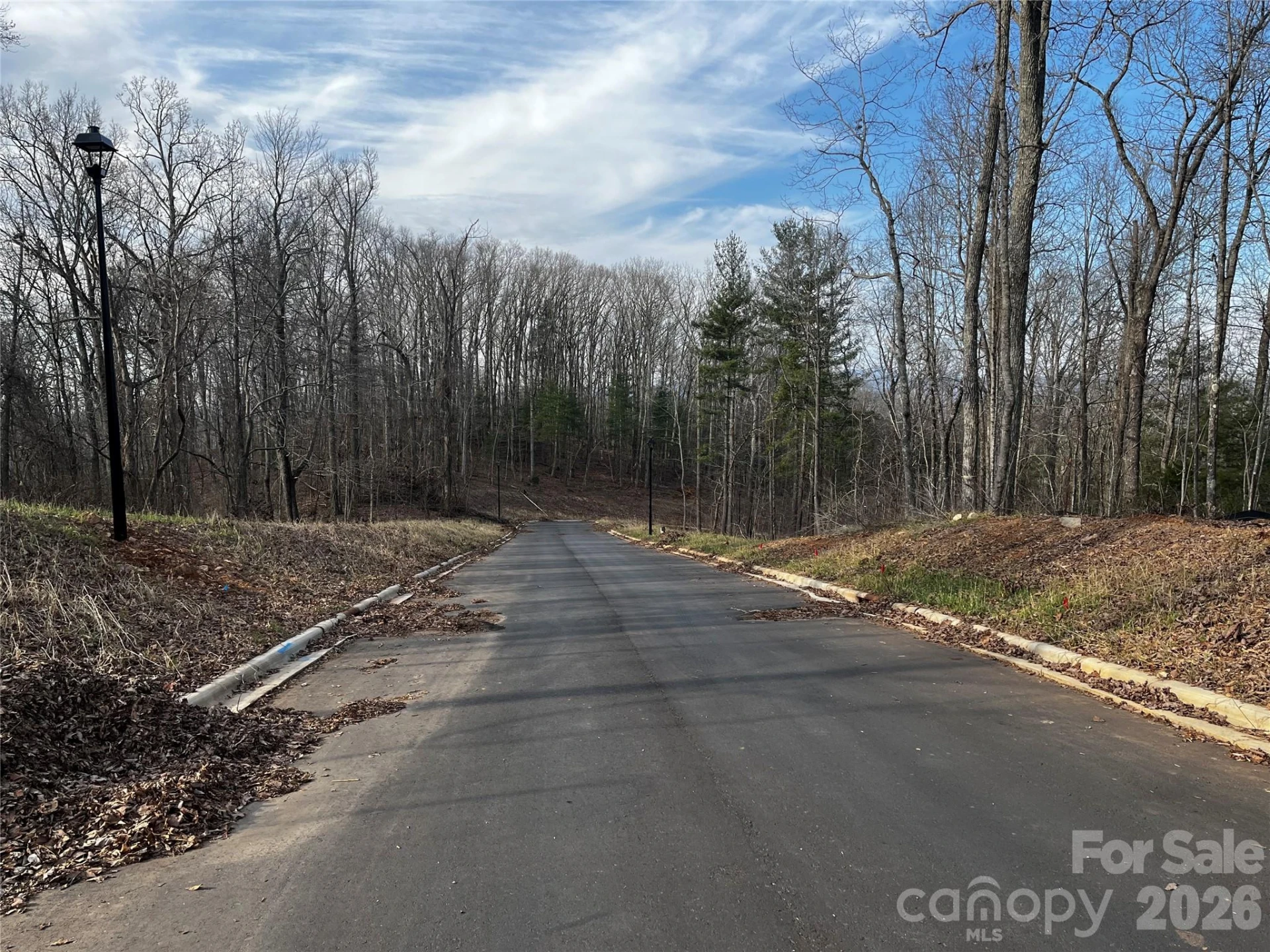 105 Woodland Meadows Drive #Tract A & B - Photo 7