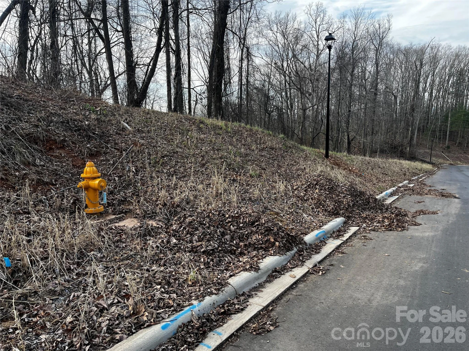 105 Woodland Meadows Drive #Tract A & B - Photo 8