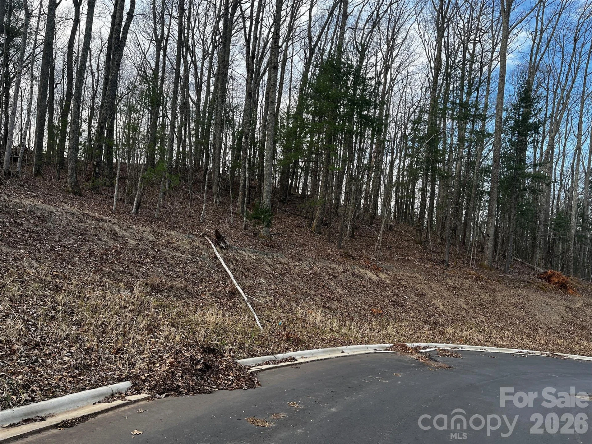 105 Woodland Meadows Drive #Tract A & B - Photo 10