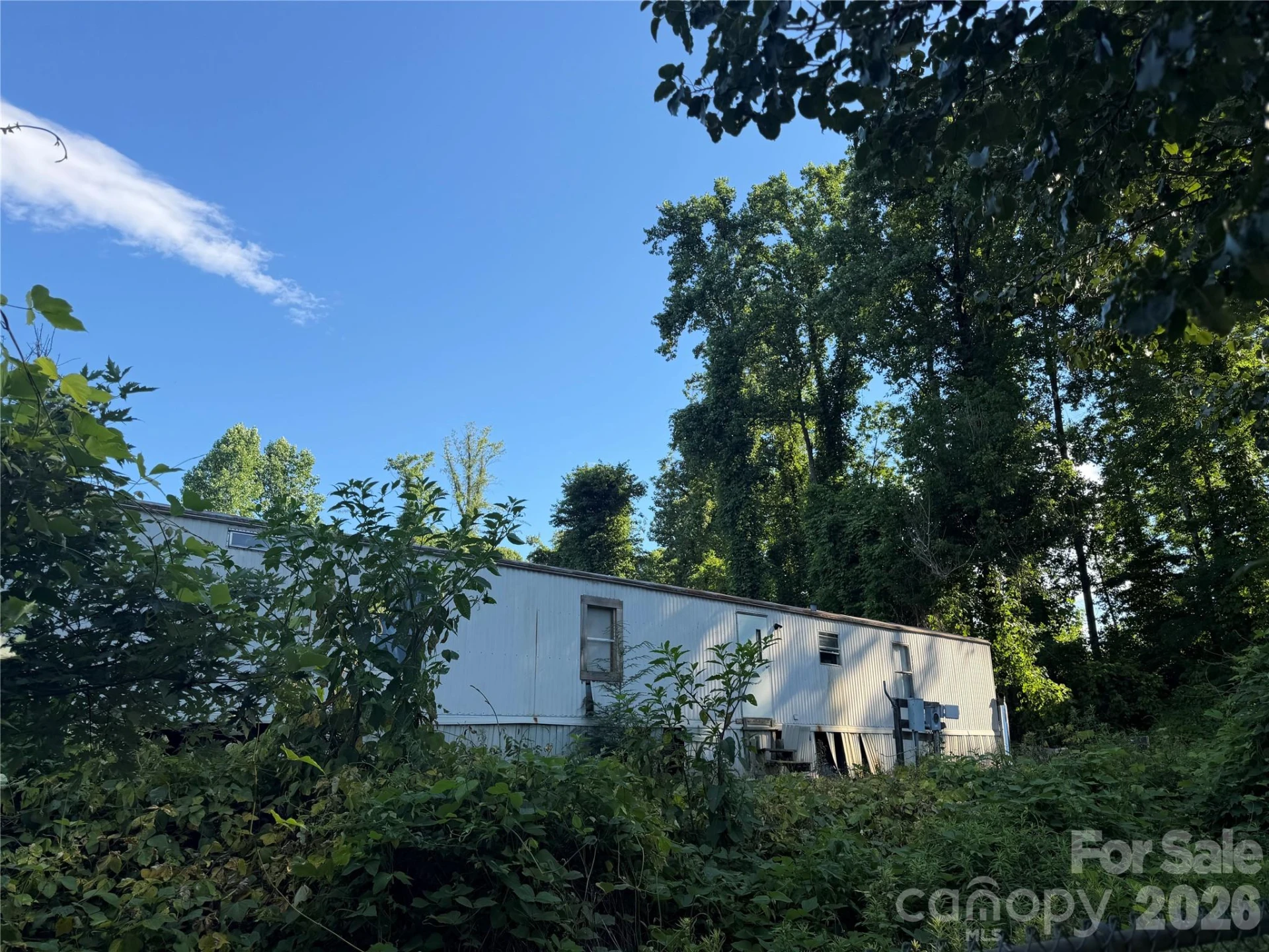 171 Ridley Street - Photo 5