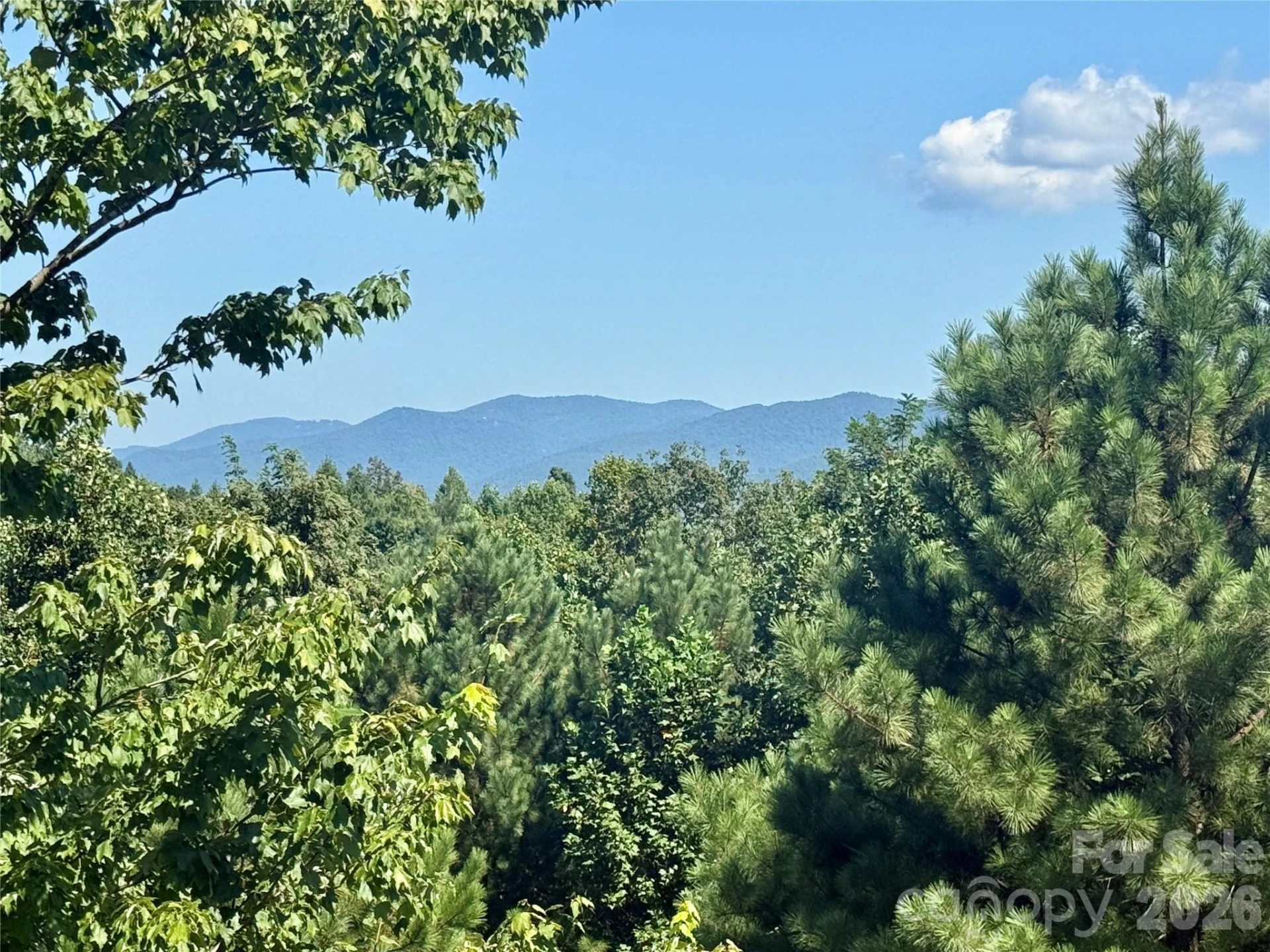 315 Lakeview Trail - Photo 22