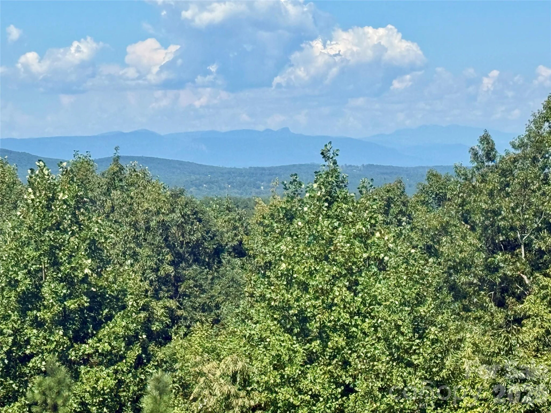 315 Lakeview Trail - Photo 25