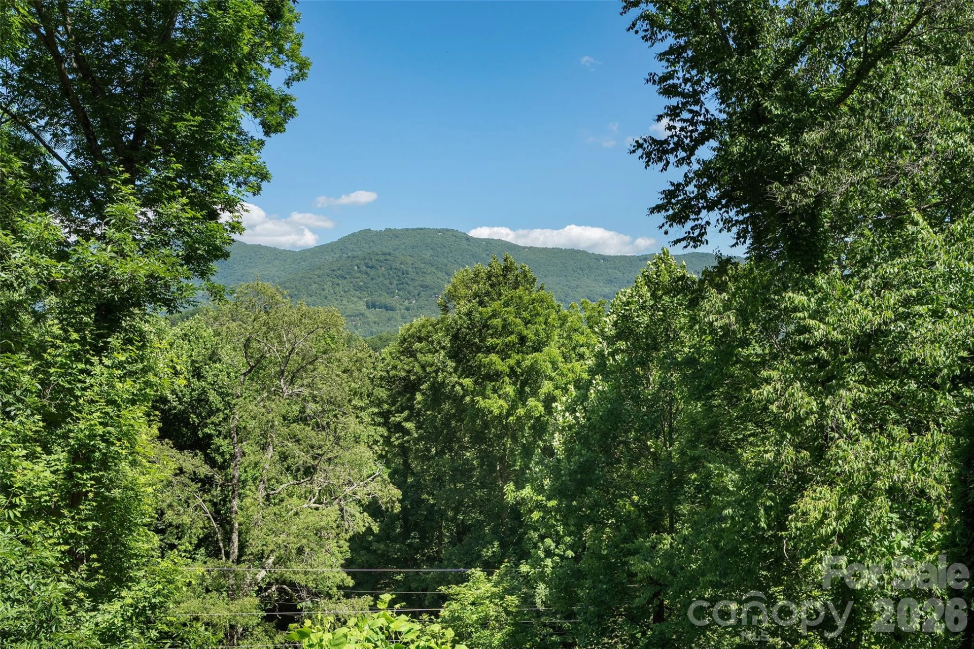 637 April Park - Photo 16