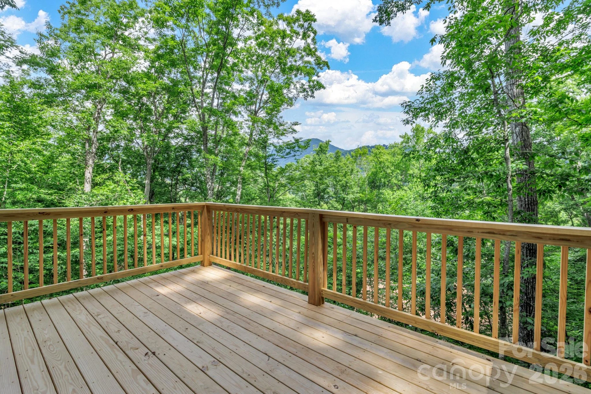 50 Sleeping Bear Ridge - Photo 31