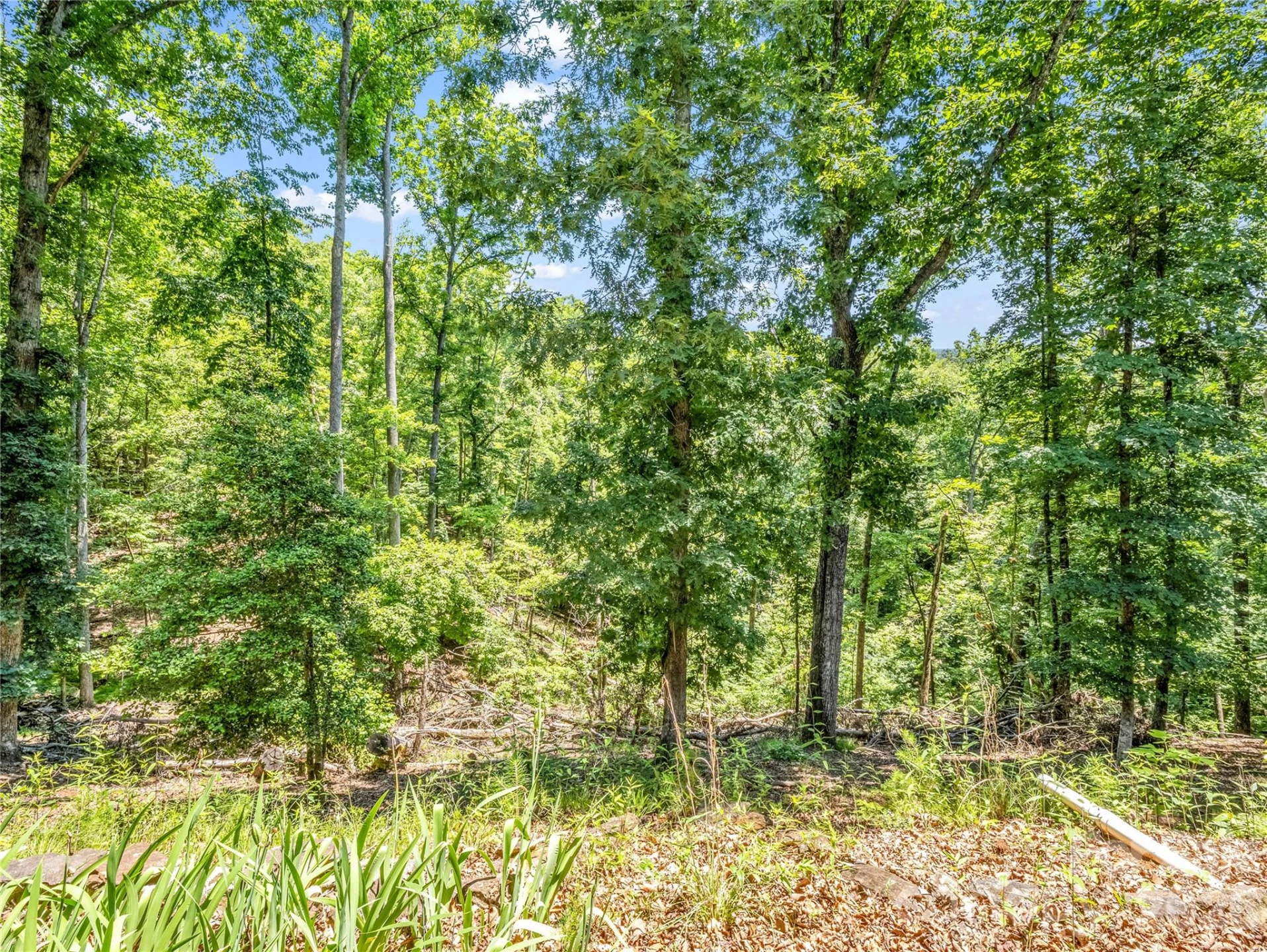 137 Amys Ridge Road - Photo 35