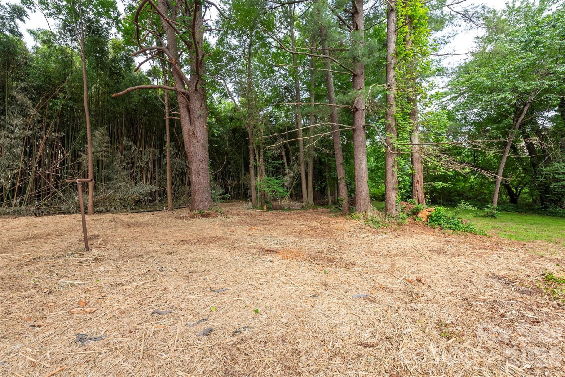 215 Merchant Street - Photo 25