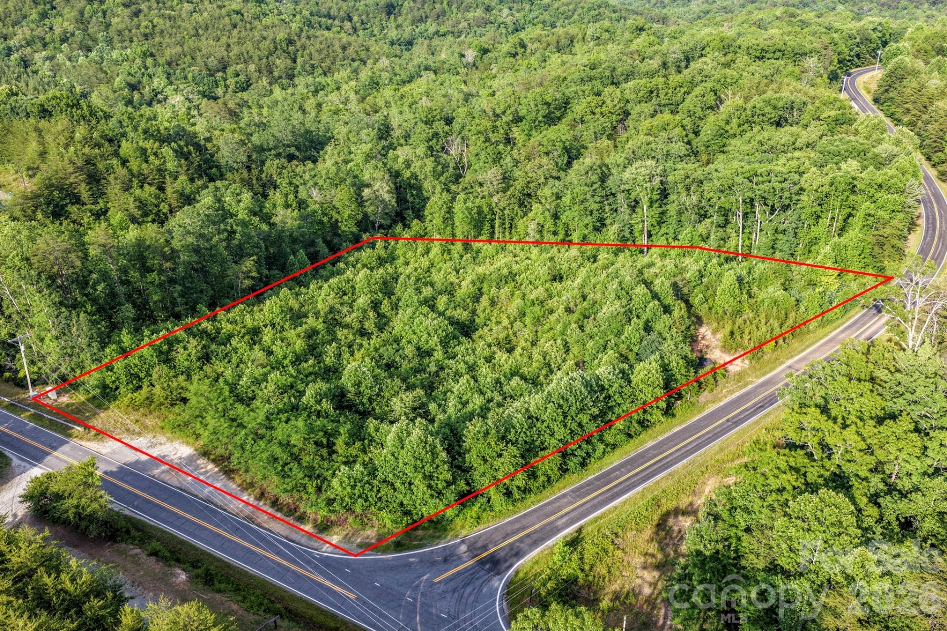 000 Bills Creek Road - Photo 3