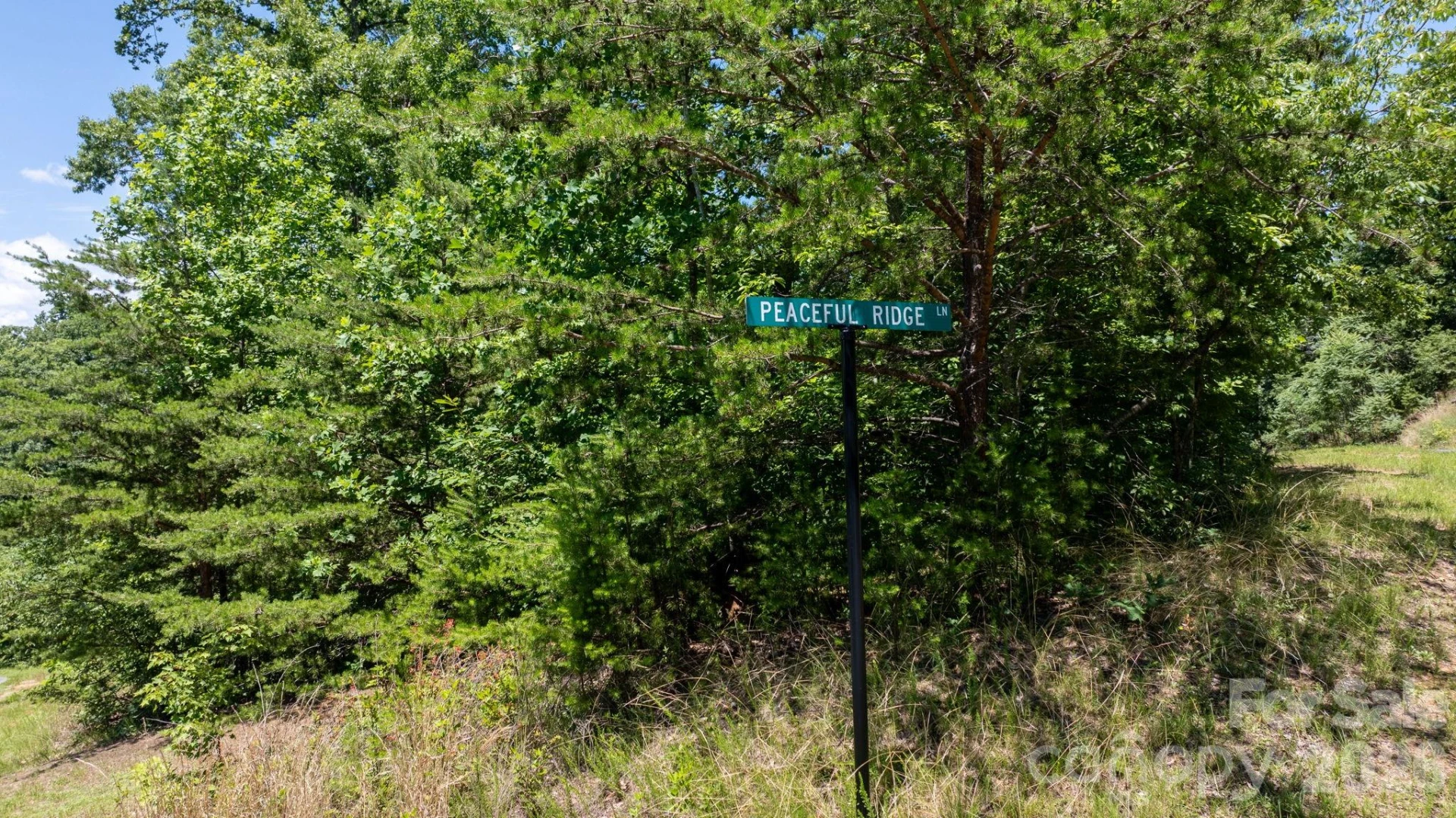 108 Mountain Brook Trail - Photo 14