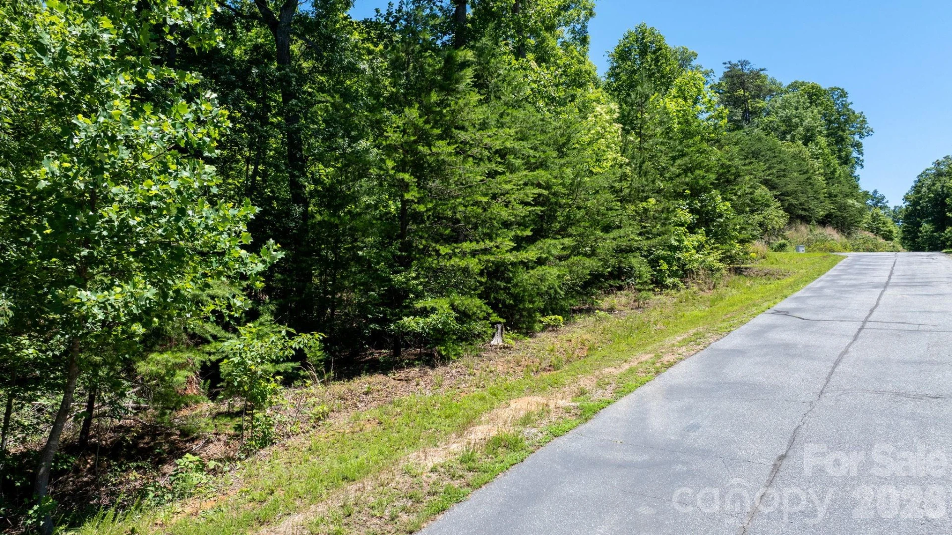 108 Mountain Brook Trail - Photo 15