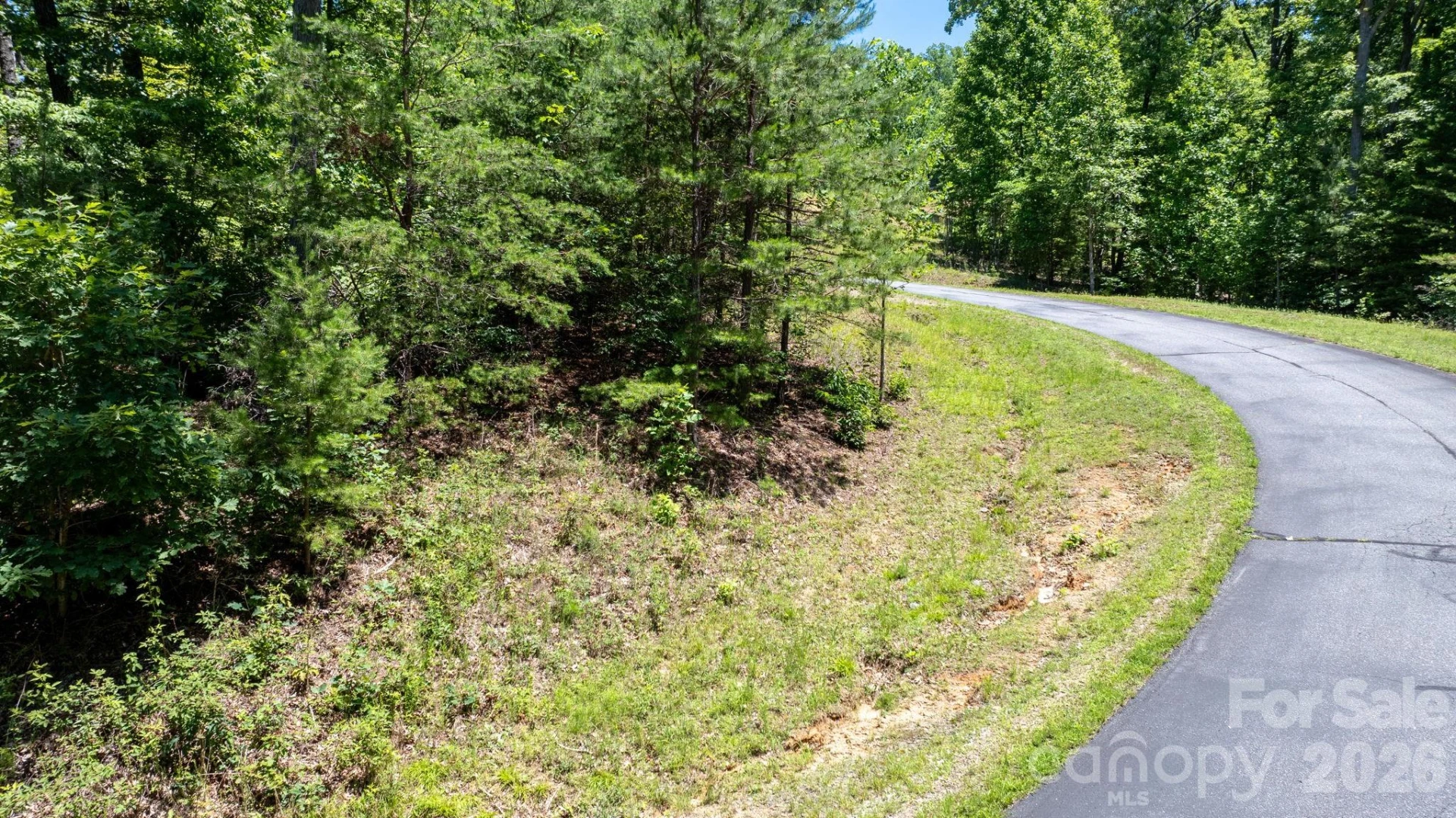 108 Mountain Brook Trail - Photo 17